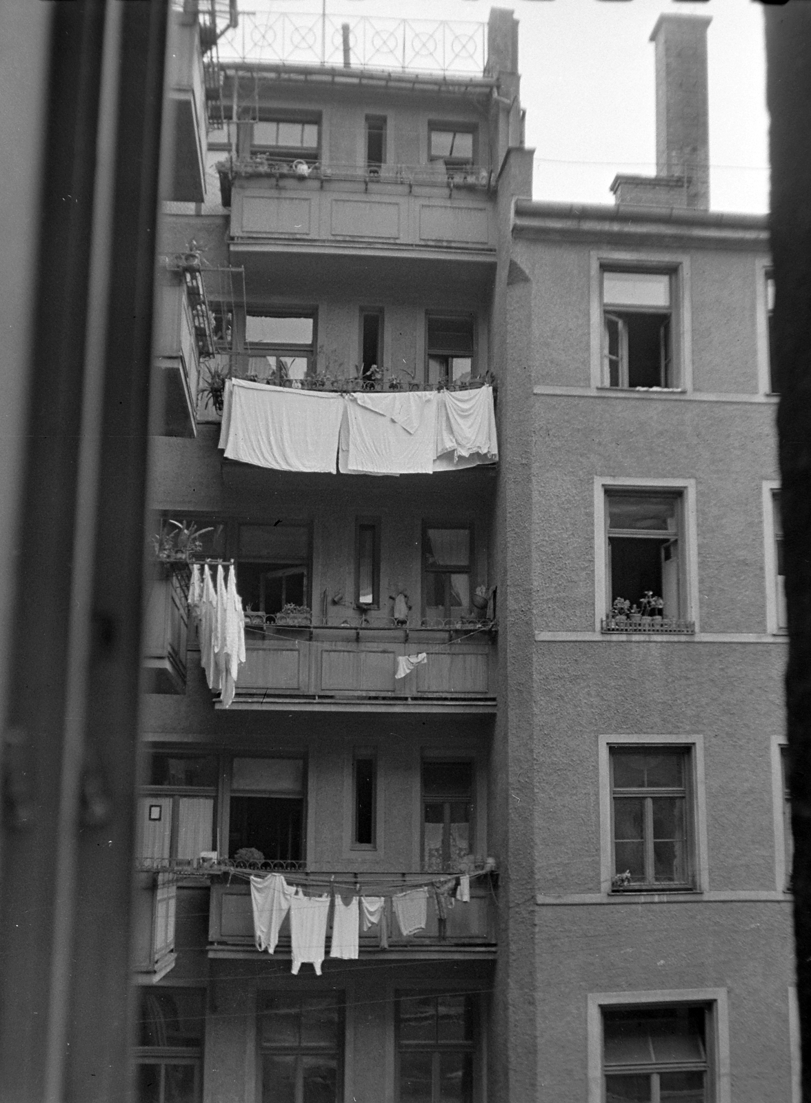 1942, Wein Sarolta, genre painting, clothes-horse, Fortepan #19769