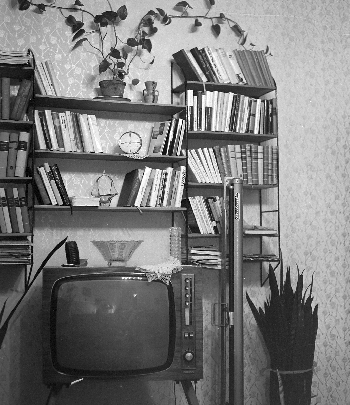 Magyarország, 1978, Fortepan, könyv, óra, televízió, könyvespolc, növény, vetítővászon, Fortepan #19773