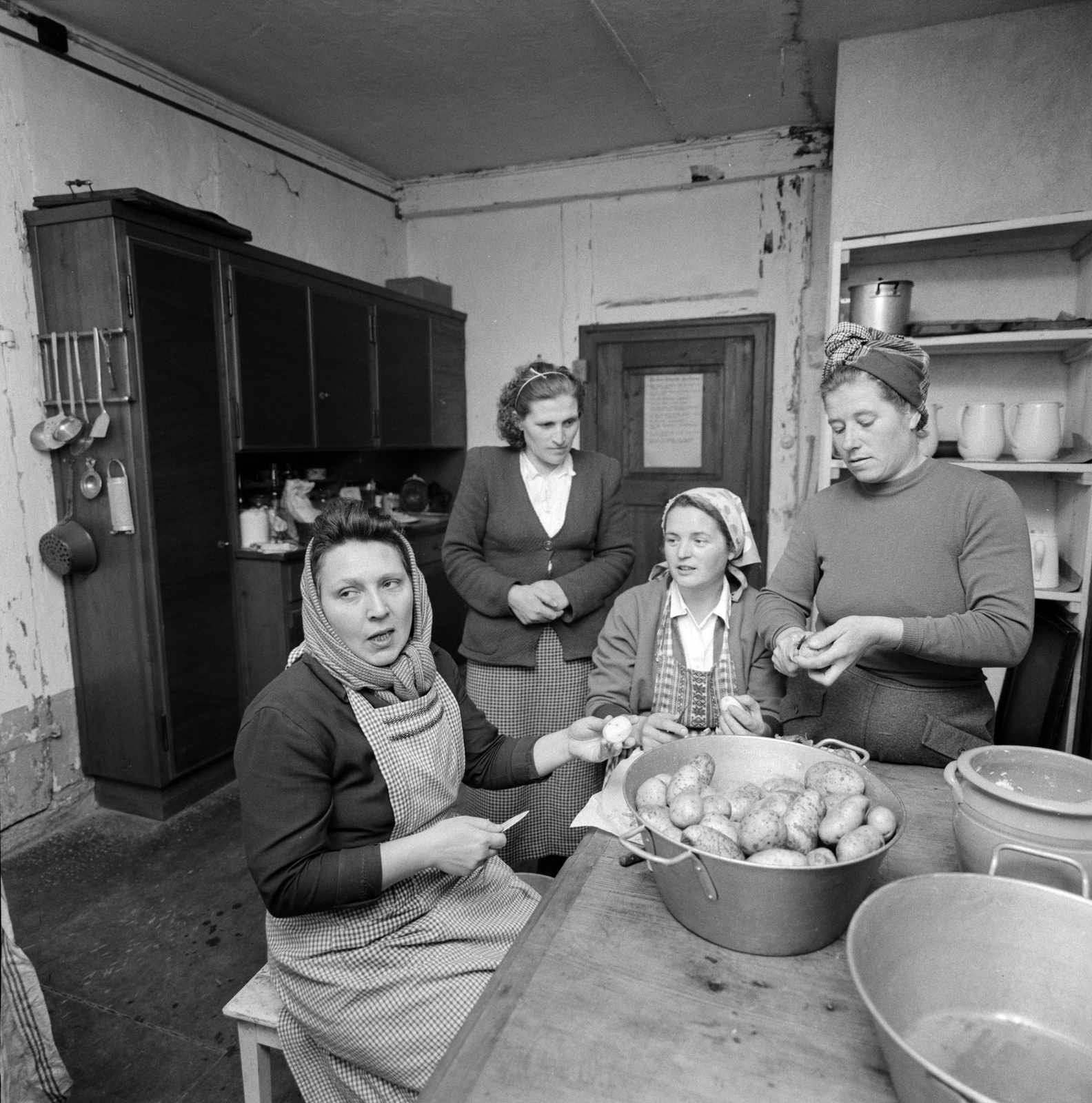 Switzerland, Buchs, magyar menekültek., 1956, ETH Zürich, photo aspect ratio: square, peeling potato, women, Fortepan #197834