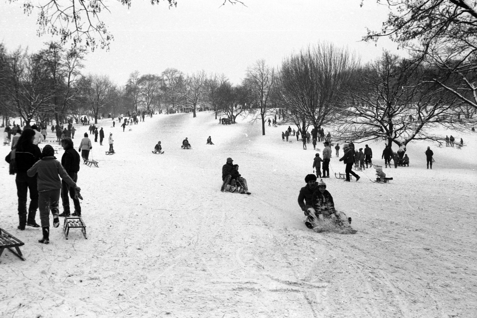 Hungary, Tabán, Budapest I., szánkópálya a Naphegy utca és a Krisztina körút között., 1983, Szalay Zoltán, Budapest, Fortepan #197918
