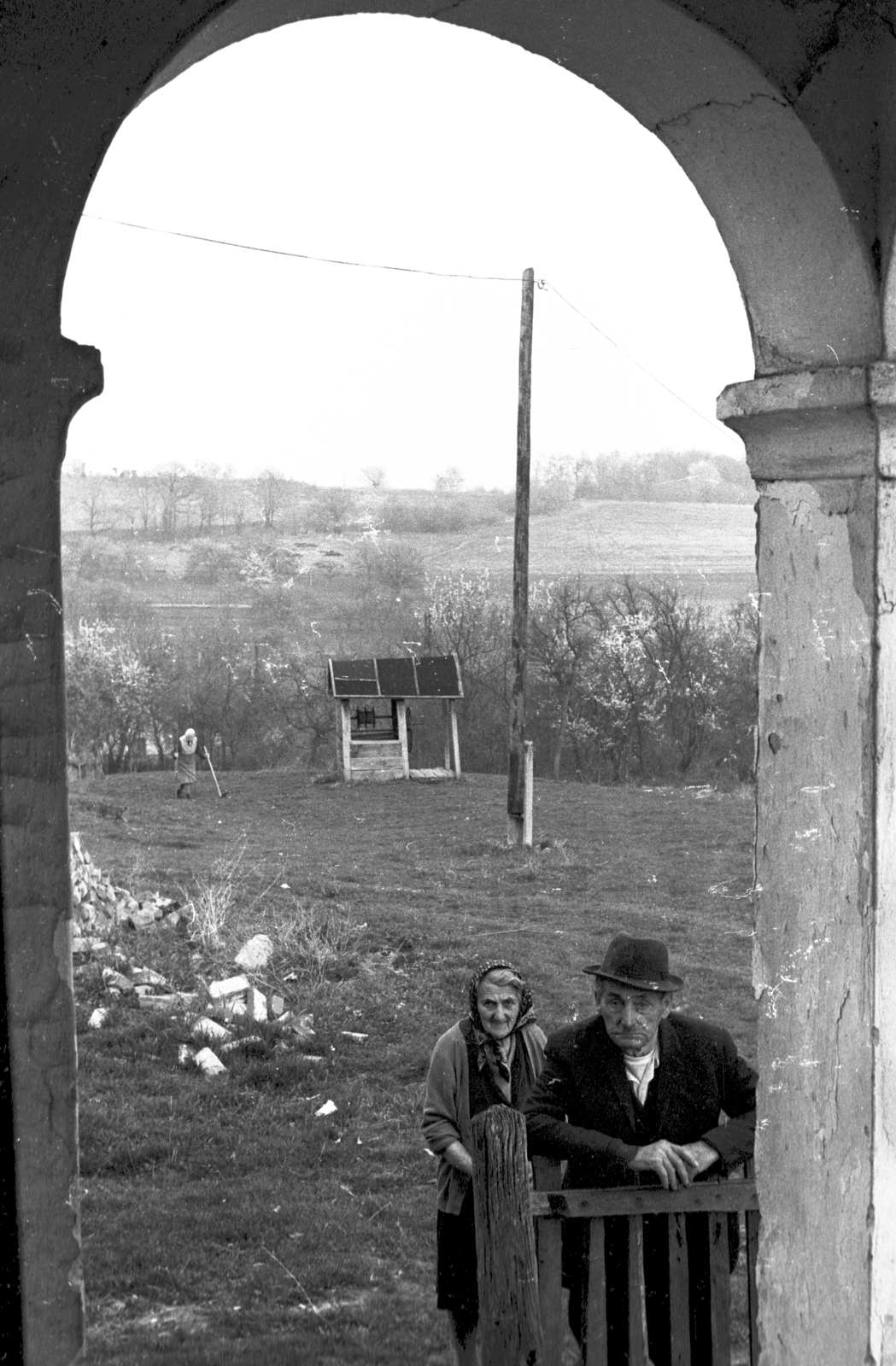 Hungary, Csonkahegyhát, 1981, Szalay Zoltán, Fortepan #198219