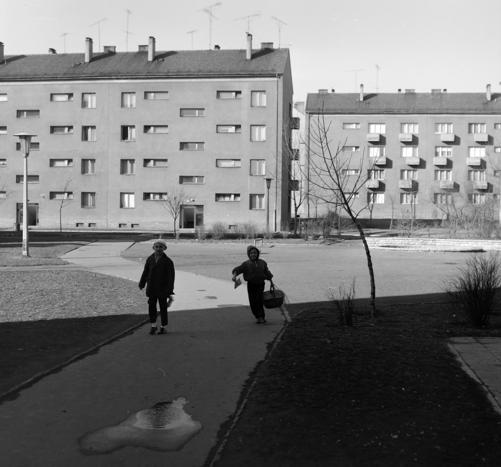 Magyarország, Uránváros, Pécs, a Páfrány utca 19. és 13. számú ház., 1967, Szalay Zoltán, Fortepan #198498