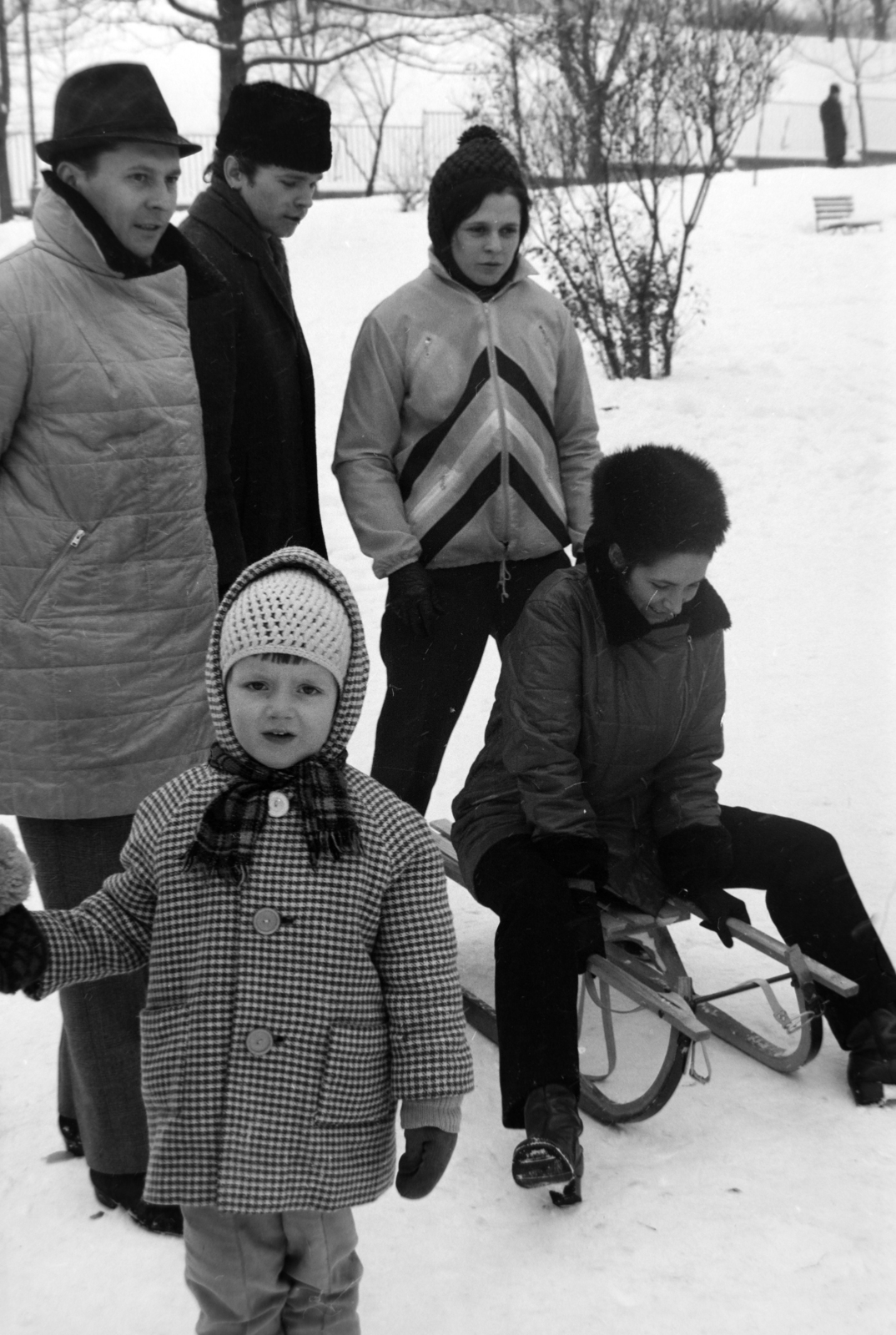 1973, Szalay Zoltán, sledge, Fortepan #198637