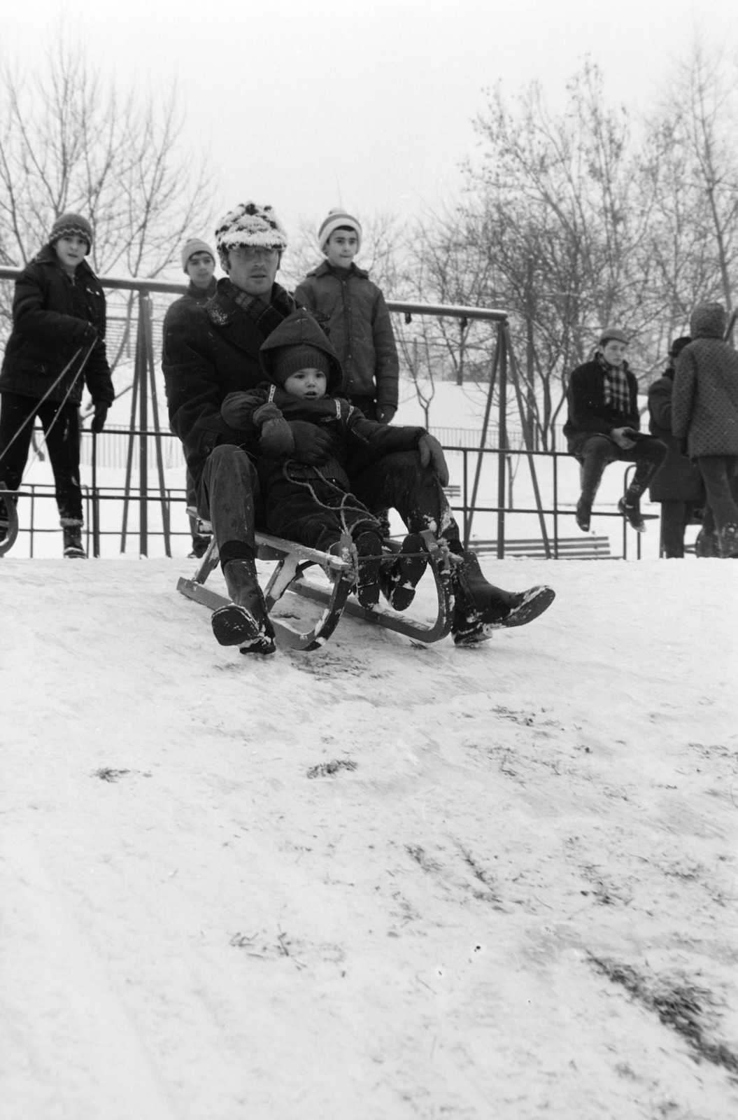 1973, Szalay Zoltán, sledge, Fortepan #198638