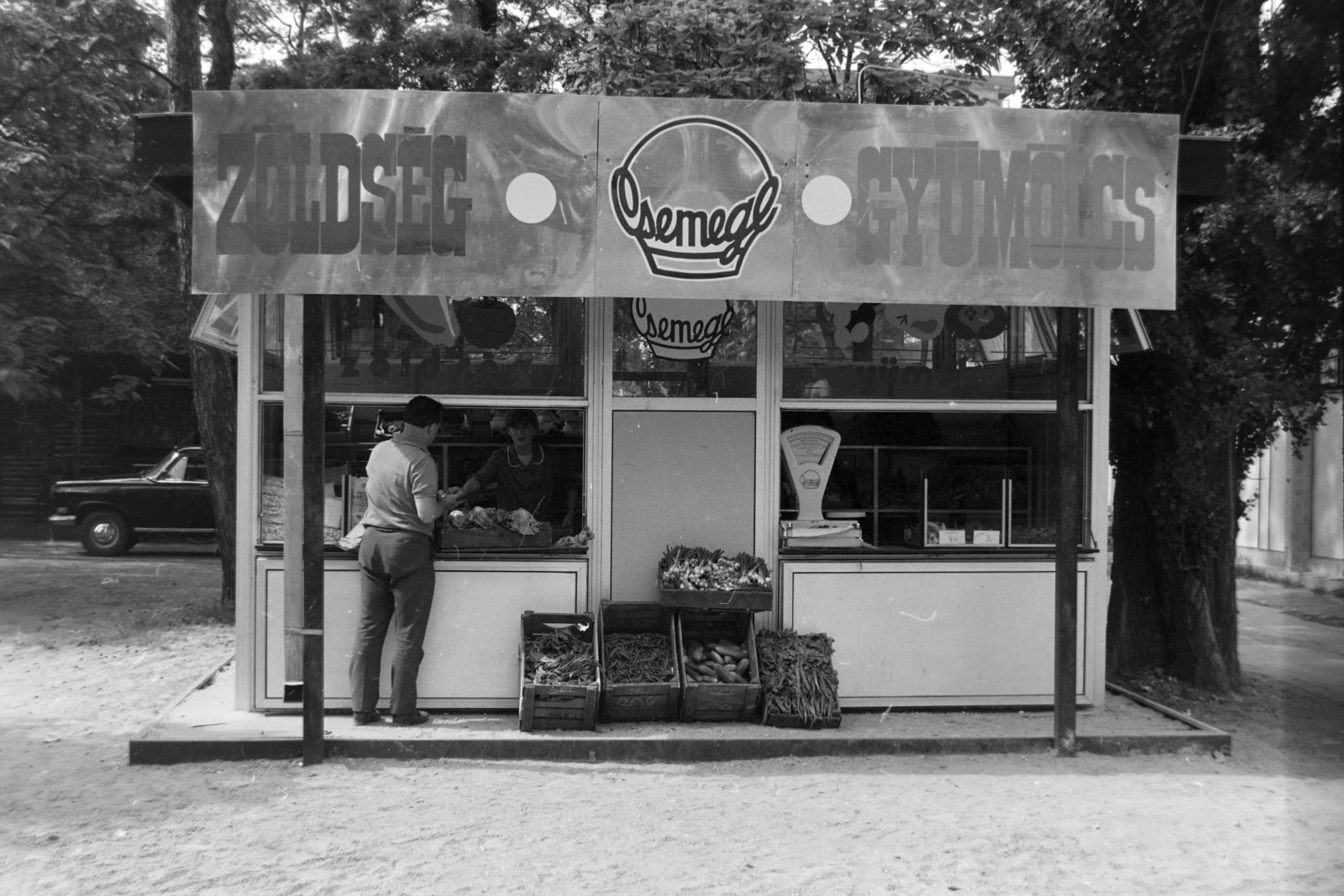 1980, Szalay Zoltán, greengrocer, Csemege enterprise, fruit seller, Fortepan #198668