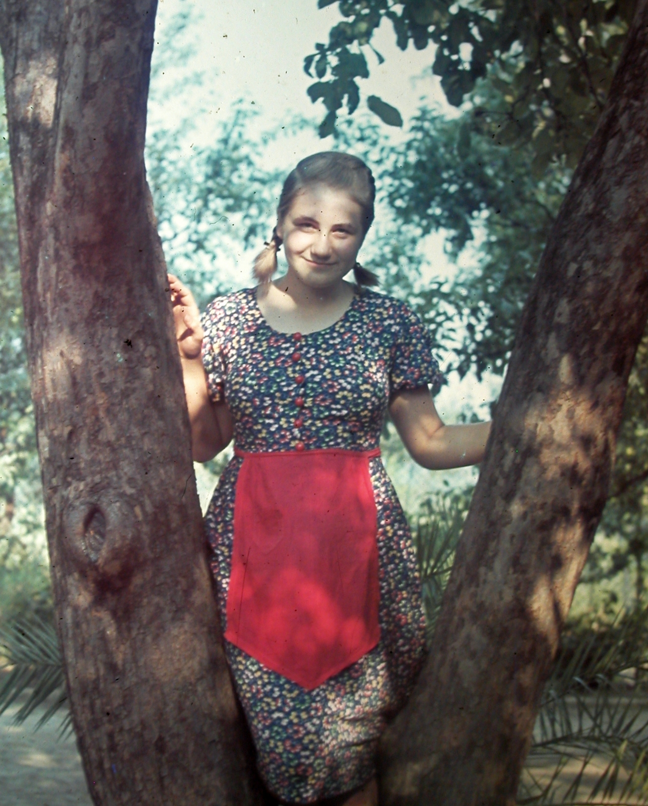 1938, Fortepan, portrait, colorful, braid, apron, Fortepan #19870