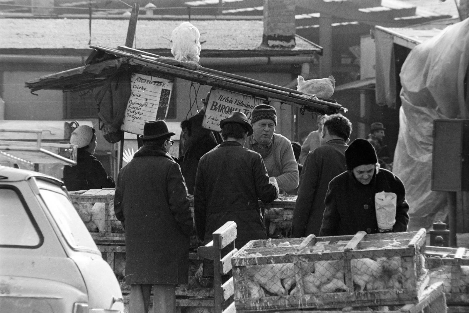 Hungary, Budapest VIII., Teleki László tér, piac., 1970, Szalay Zoltán, Budapest, Fortepan #198784