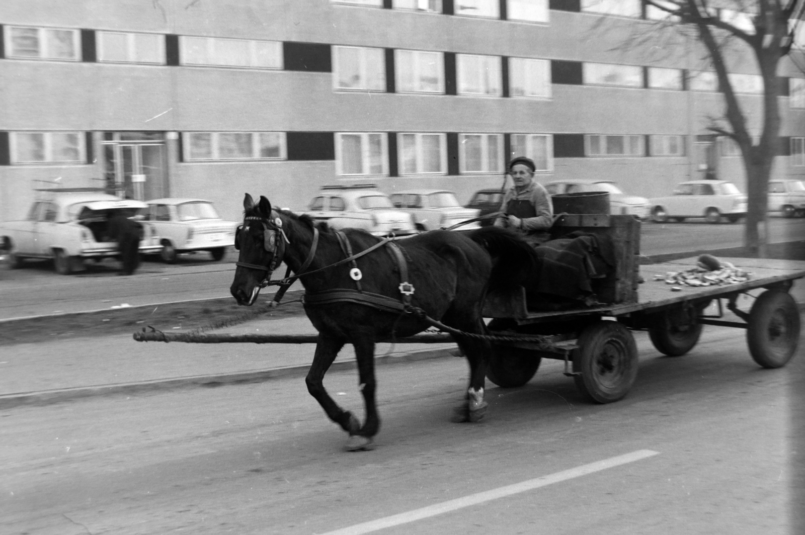 Hungary, Budapest XIV., Füredi utcai lakótelep, Ond vezér útja a Rákosfalva parknál., 1975, Szalay Zoltán, Budapest, Fortepan #198839