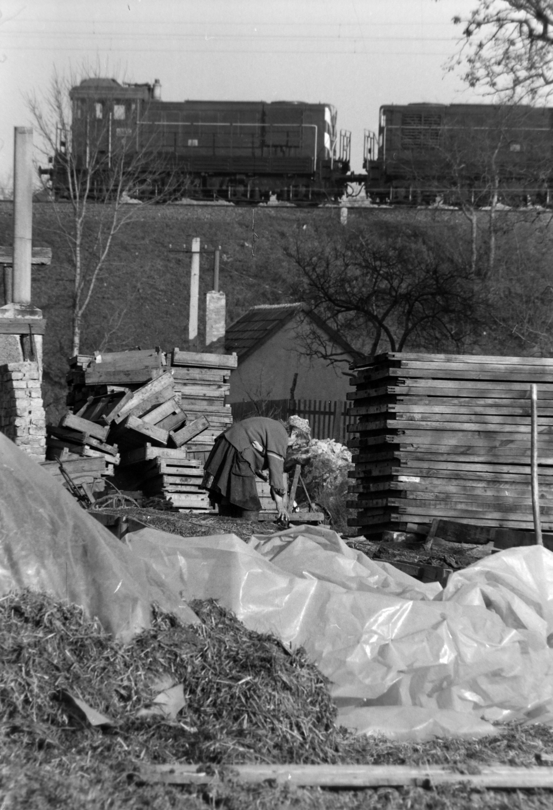 Hungary, Budapest XIV., a Gvadányi utca - Zalán utca sarkánál lévő kertészet, szemben a körvasút töltése., 1975, Szalay Zoltán, Budapest, Fortepan #198849