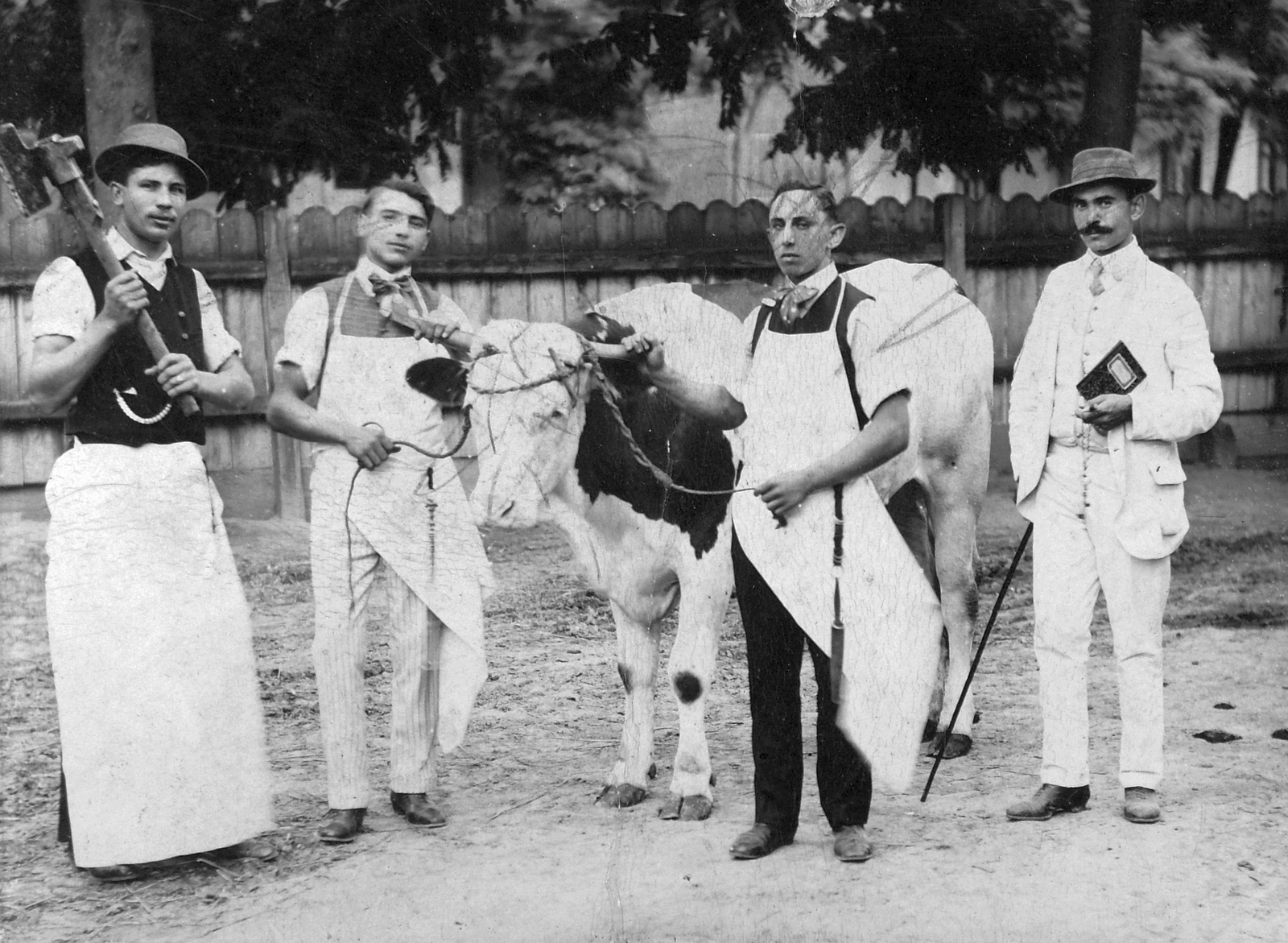 1900, Fortepan, butcher, cattle, Fortepan #19895