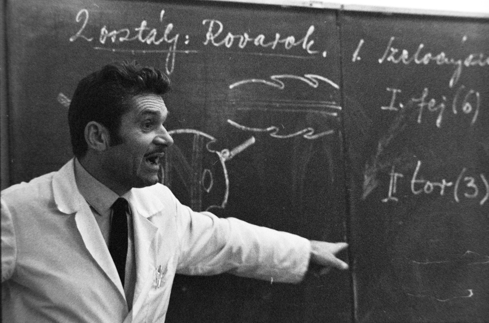 1969, Szalay Zoltán, teacher, Fortepan #199191