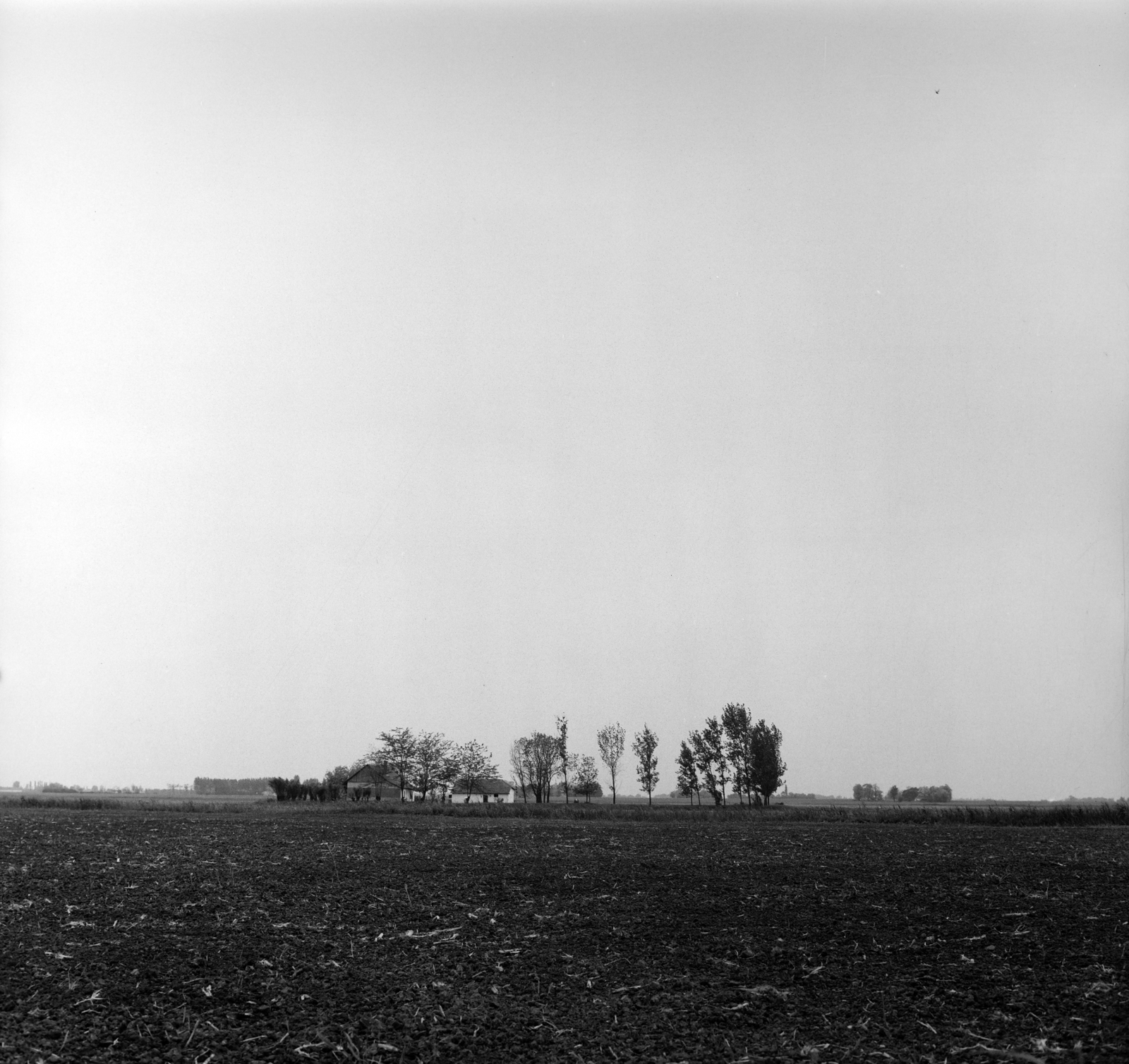 1975, Antal Gábor, farm, Fortepan #199334