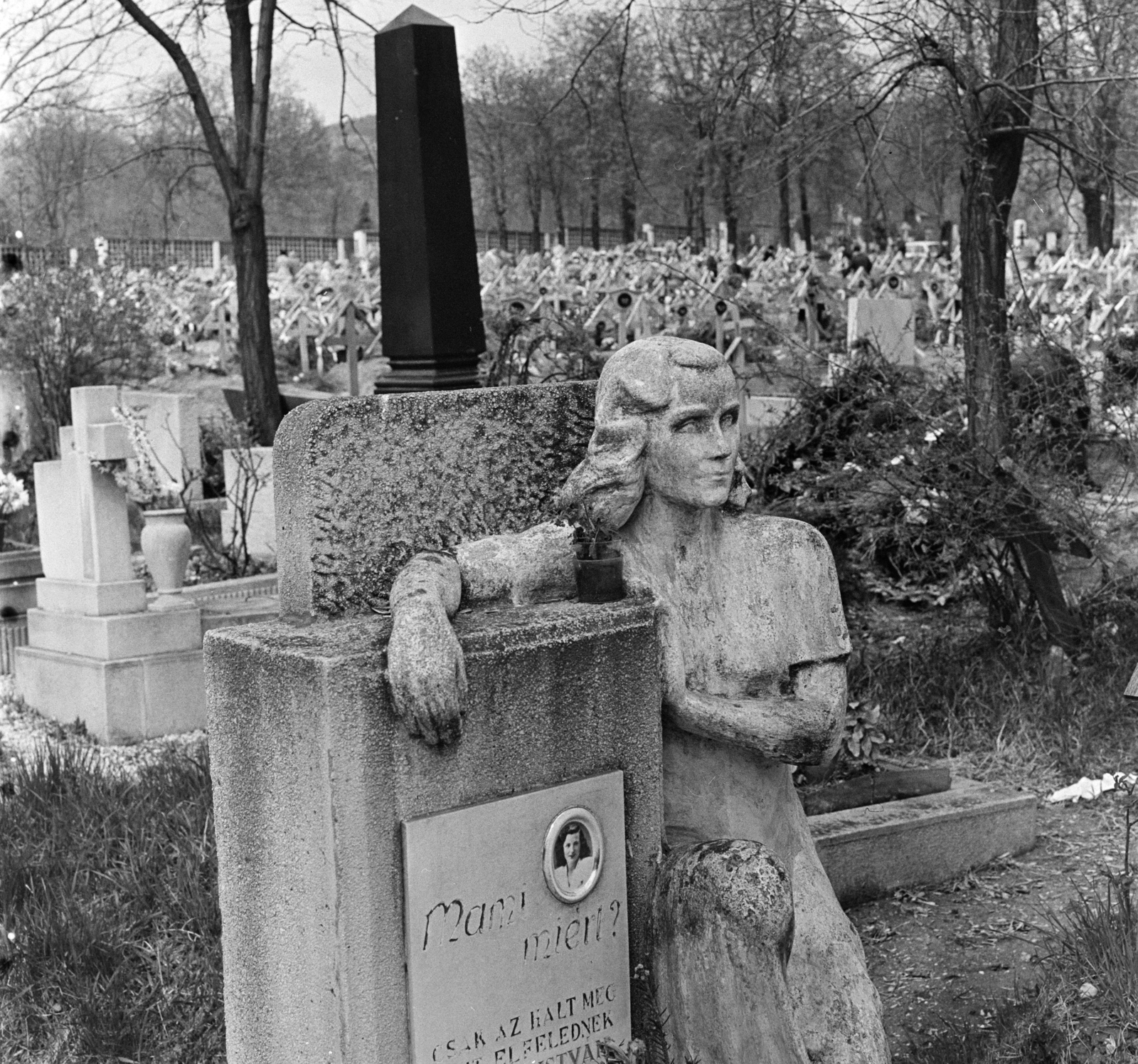 Hungary, Budapest XII., Farkasréti temető., 1971, Antal Gábor, tomb, Budapest, Fortepan #199350