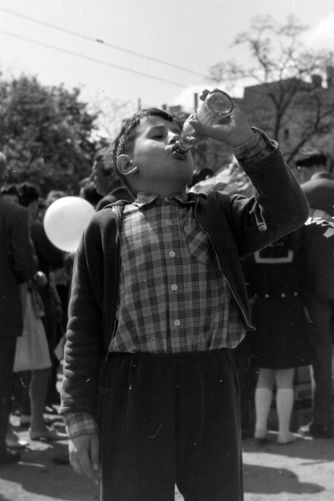 1965, Antal Gábor, drinking, plaid shirt, Fortepan #199369