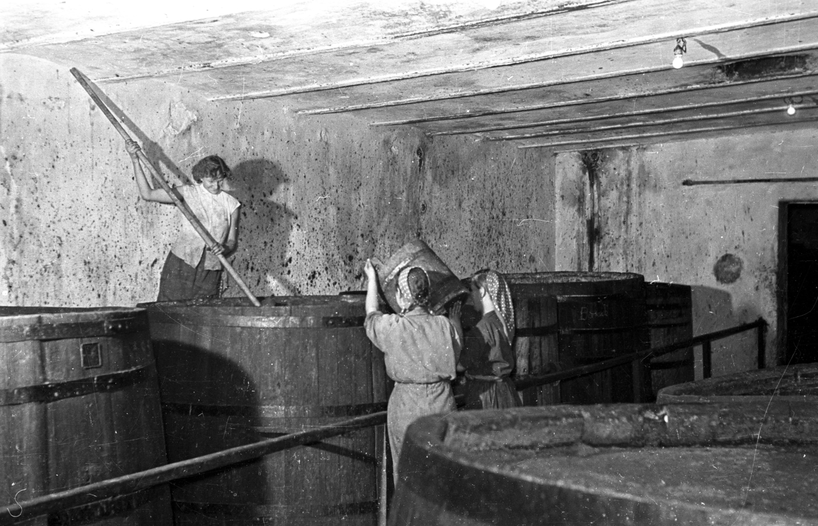 1955, Bauer Sándor, basement, working woman, bathtub, distillery, Fortepan #199568