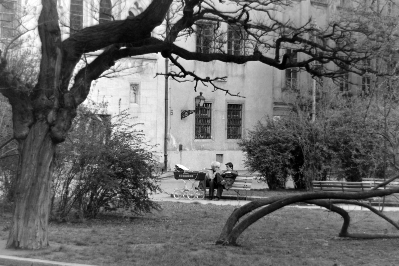 1977, Borbély Mihály, baby carriage, Fortepan #199781