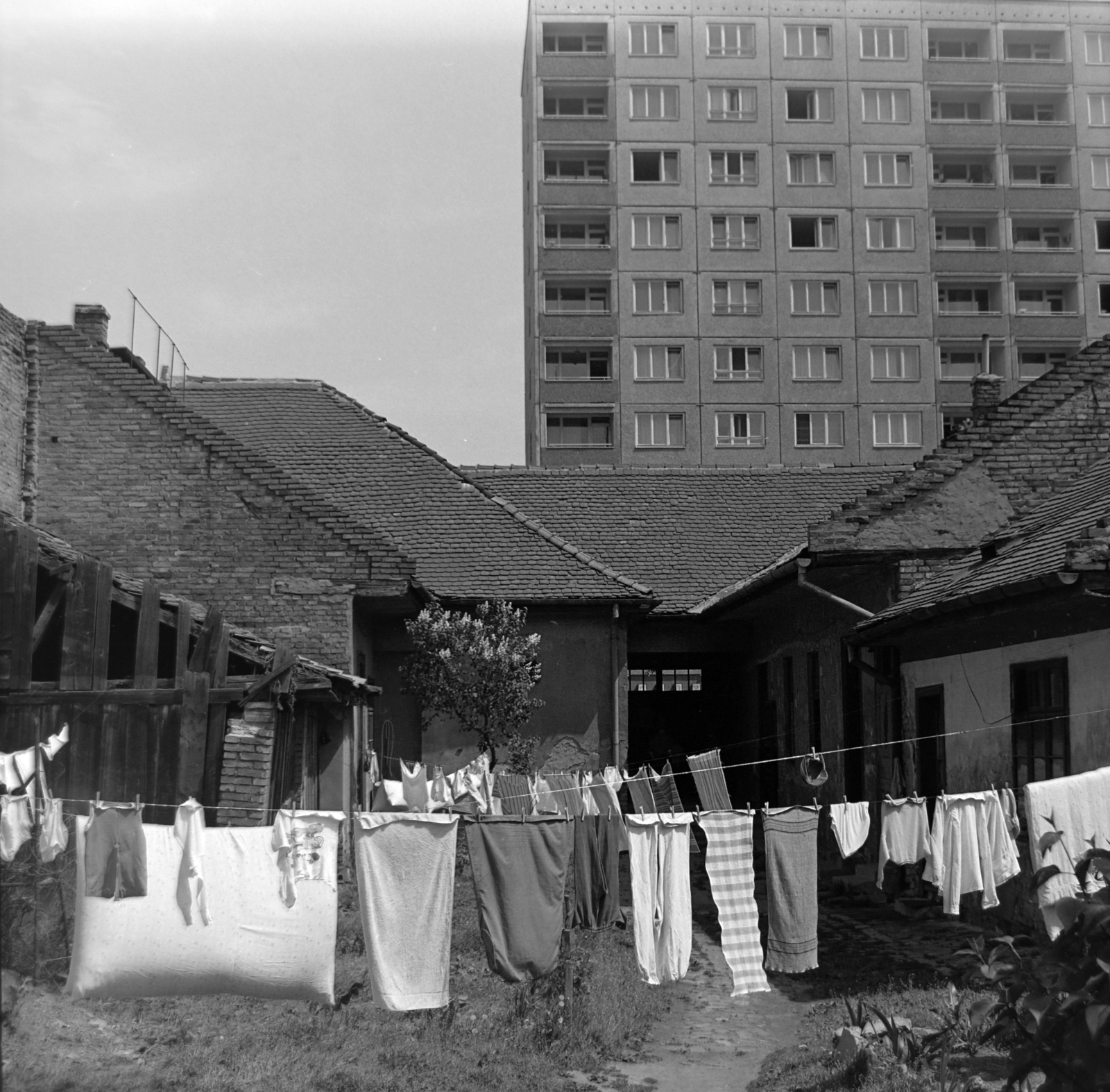 Hungary, Óbuda, Budapest III., előtérben a Vörösvári út 102. udvara, háttérben a Vörösvári út 43-as számú panelház., 1973, Borbély Mihály, Budapest, yard, house, hanging clothes, Fortepan #199791