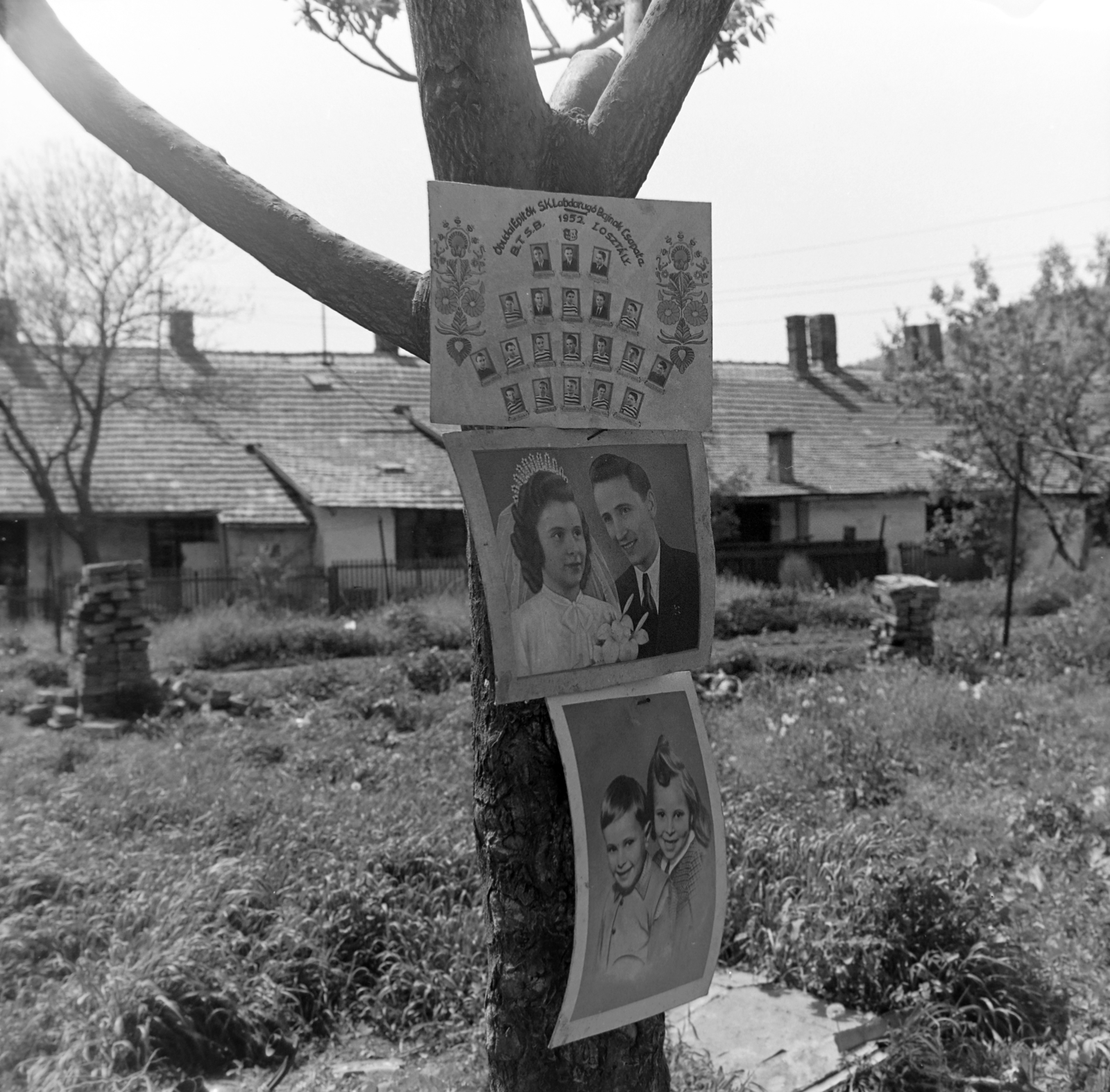 Hungary, Óbuda, Budapest III., a felvétel az Újlaki téglagyár egyik munkáslakása előtt készült a Körte utca - Ágoston utca közötti területen., 1973, Borbély Mihály, Budapest, wood, school class portrait, Fortepan #199792
