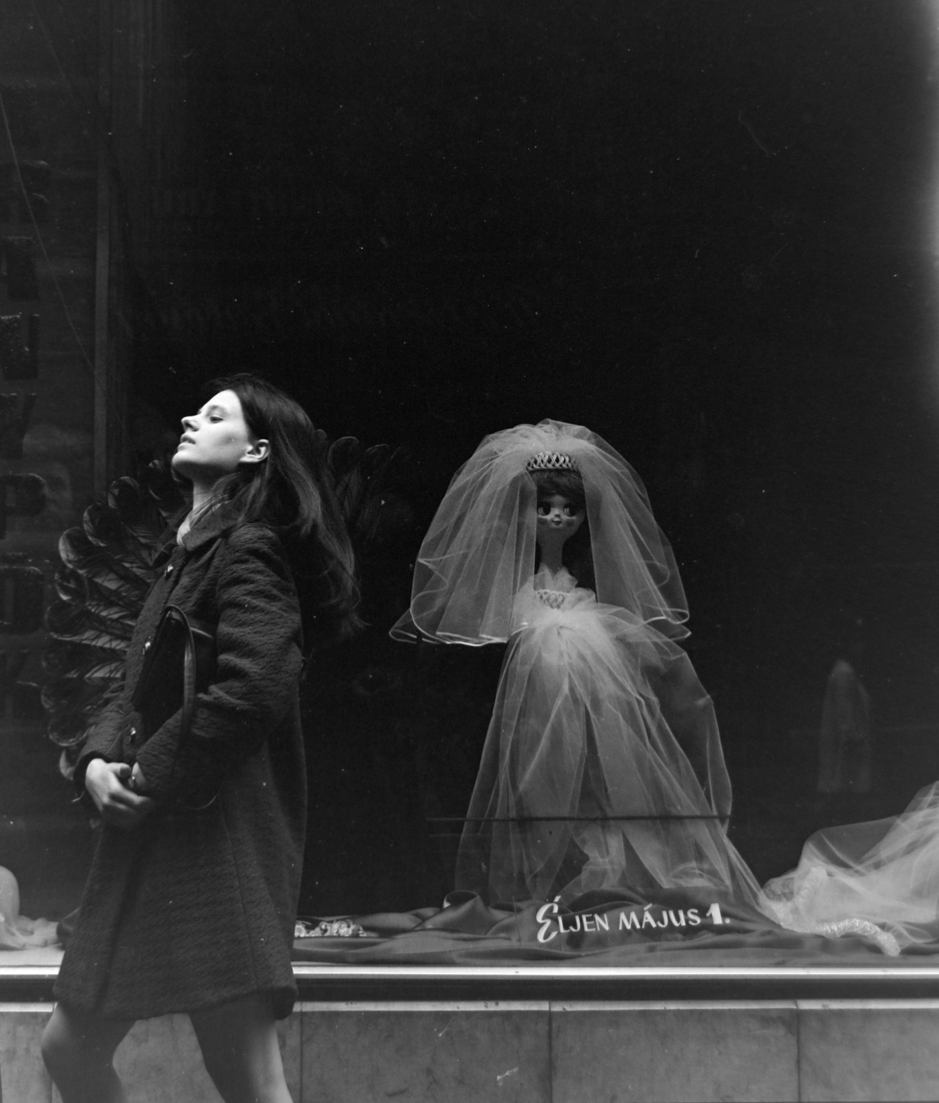 1973, Borbély Mihály, lady, label, face profile, youth, tulle, Show window, Fortepan #199796