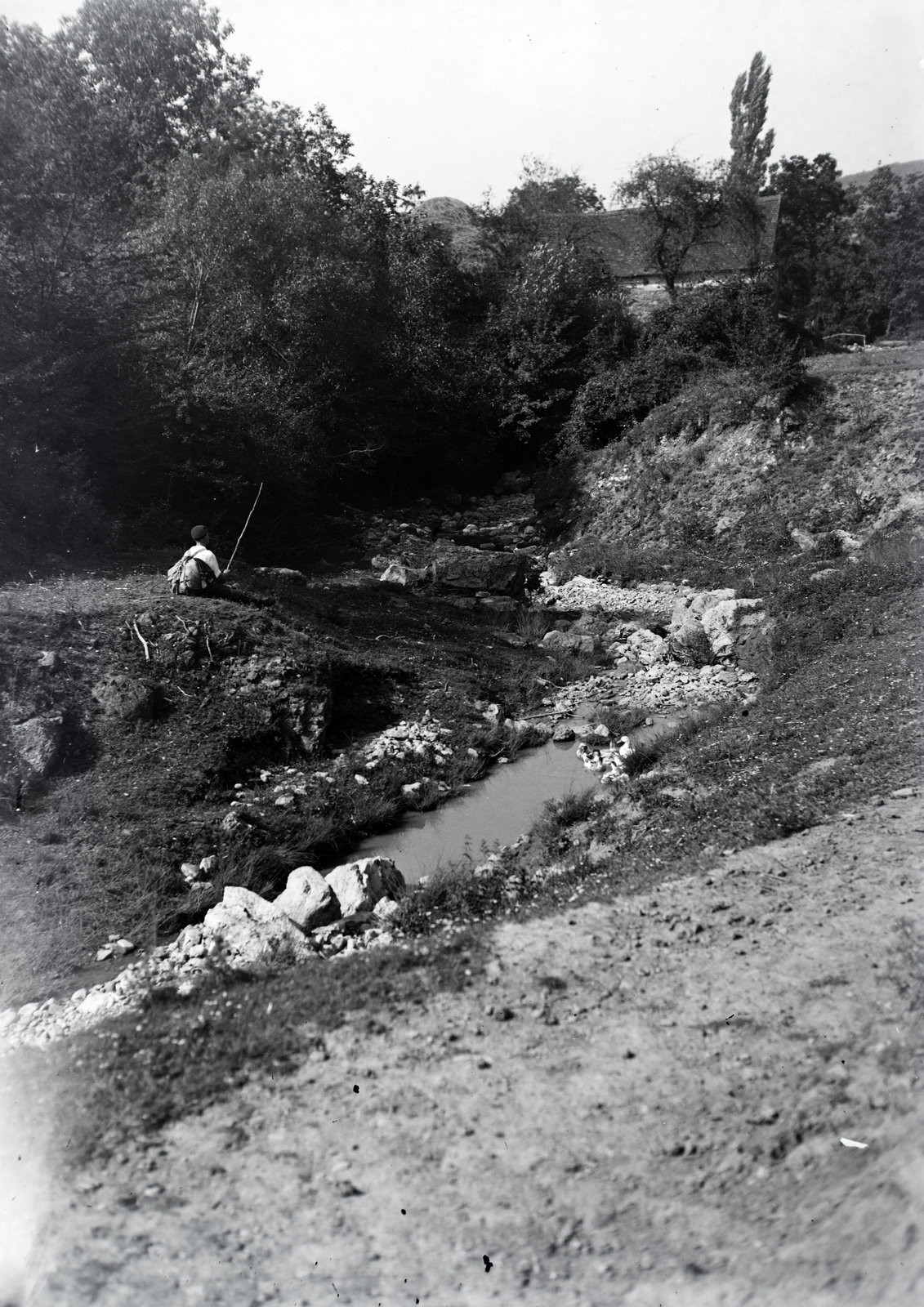 1934, Privát Fotó és Film Archívum-Höfler Tibor gyűjtemény, stream, Fortepan #20022