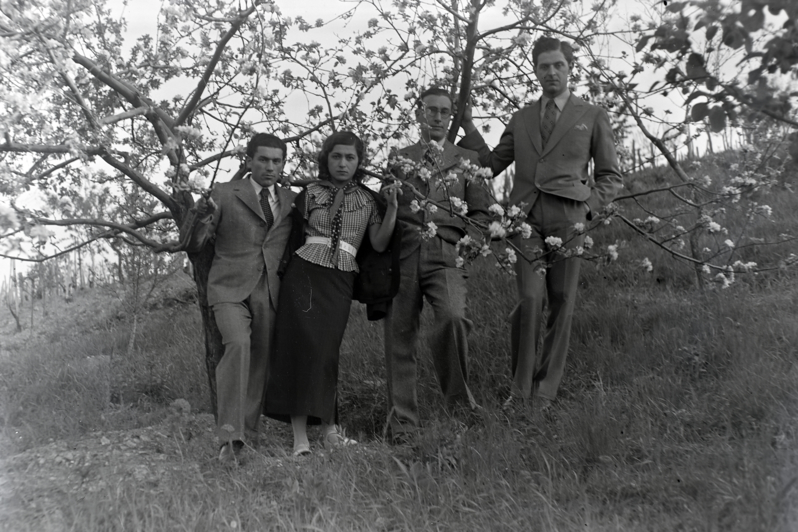 1938, Privát Fotó és Film Archívum-Höfler Tibor gyűjtemény, tableau, spring, blossoming, height chart, Fortepan #20029