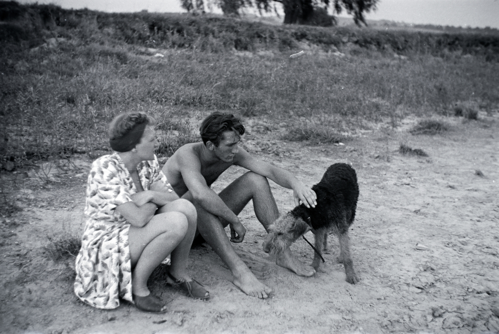 Hungary, Szob, Ipoly-part, háttérben a 12-es főút., 1941, Eisner Ferenc, dog, sitting on the ground, Fortepan #200358
