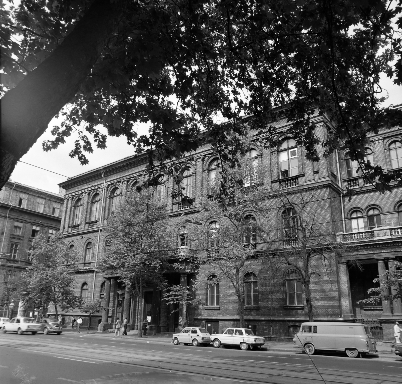 Hungary, Budapest VIII., Múzeum körút, szemben az ELTE épületei., 1977, Balázs János, Budapest, Fortepan #200402