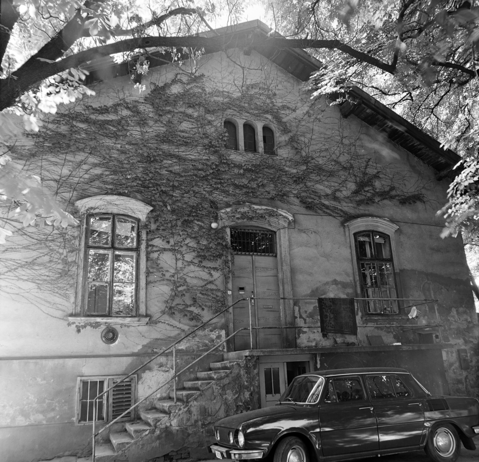 Hungary, Budapest VIII., Illés utca 25., ELTE Füvészkert, személyzeti épület a bejáratnál., 1977, Balázs János, Budapest, Fortepan #200407