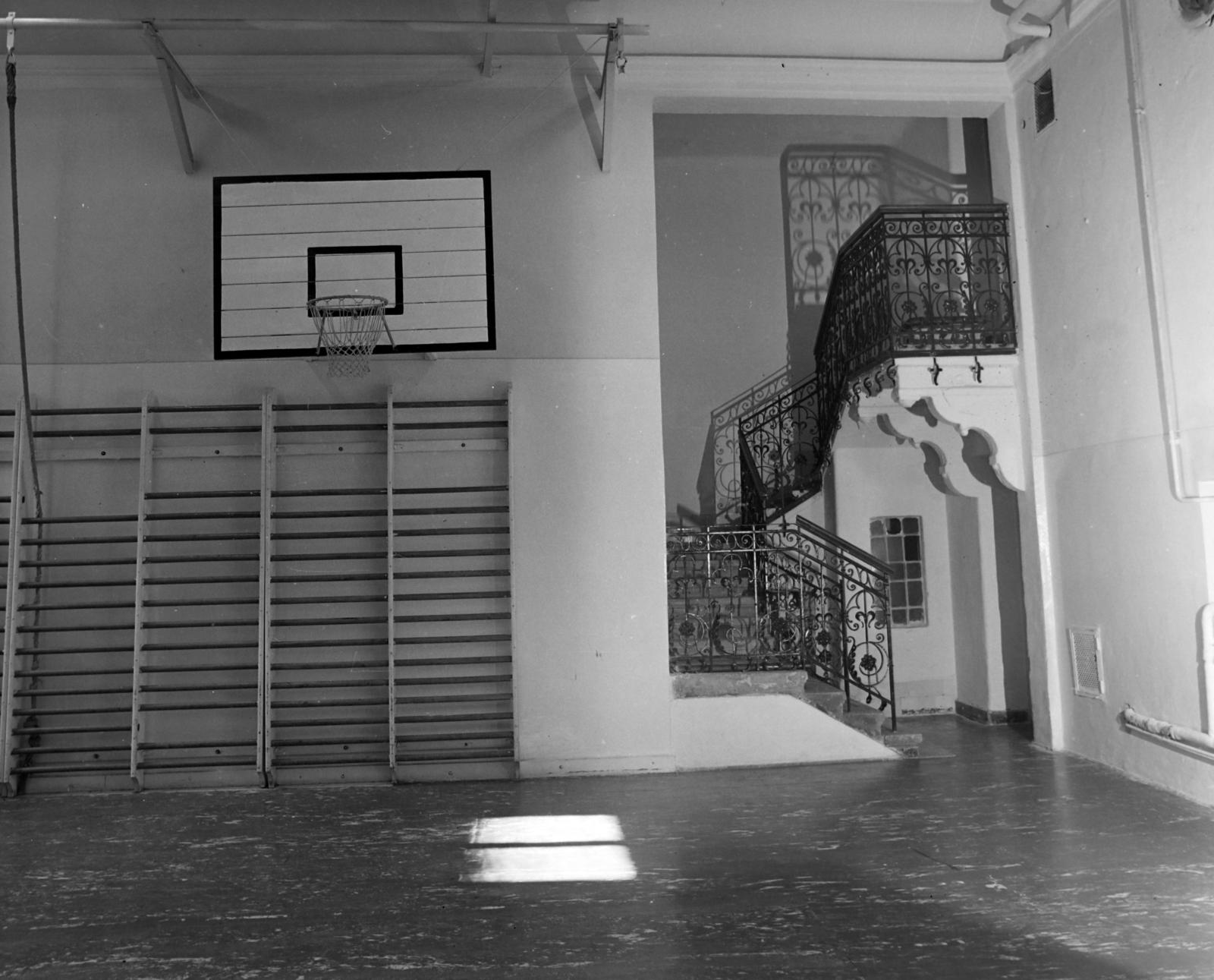 1977, Balázs János, odd one out, gym, Fortepan #200438