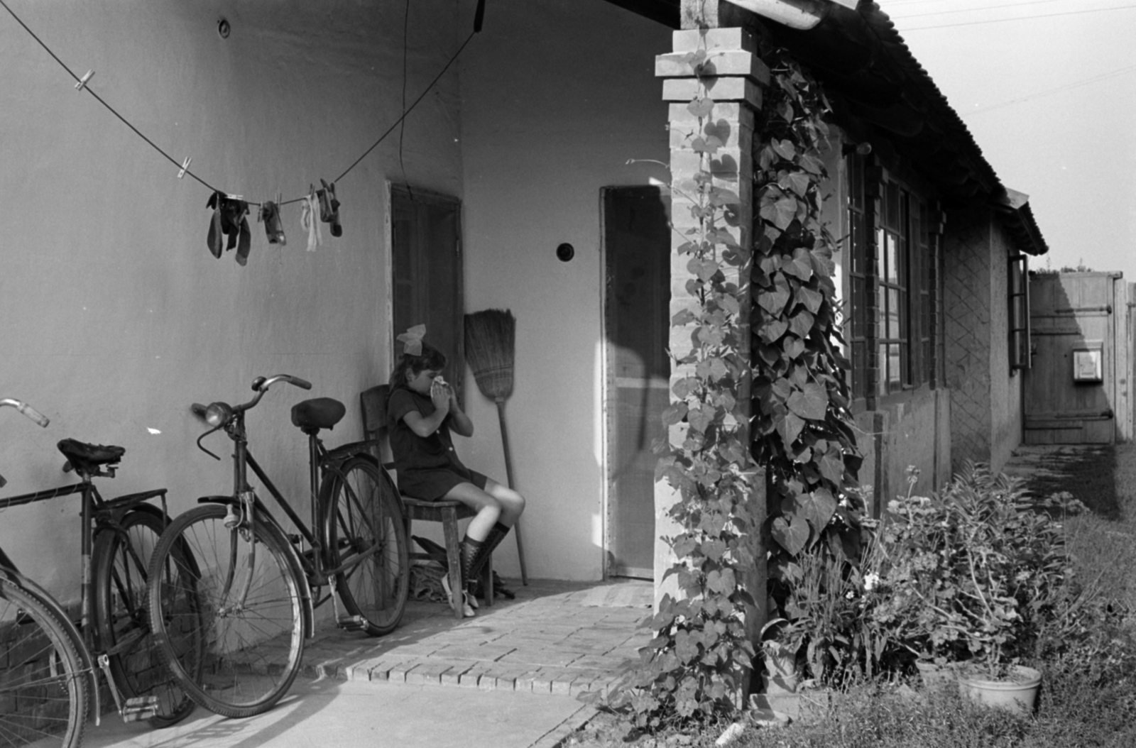 1969, Földvári Mihály, bicycle, Fortepan #200712