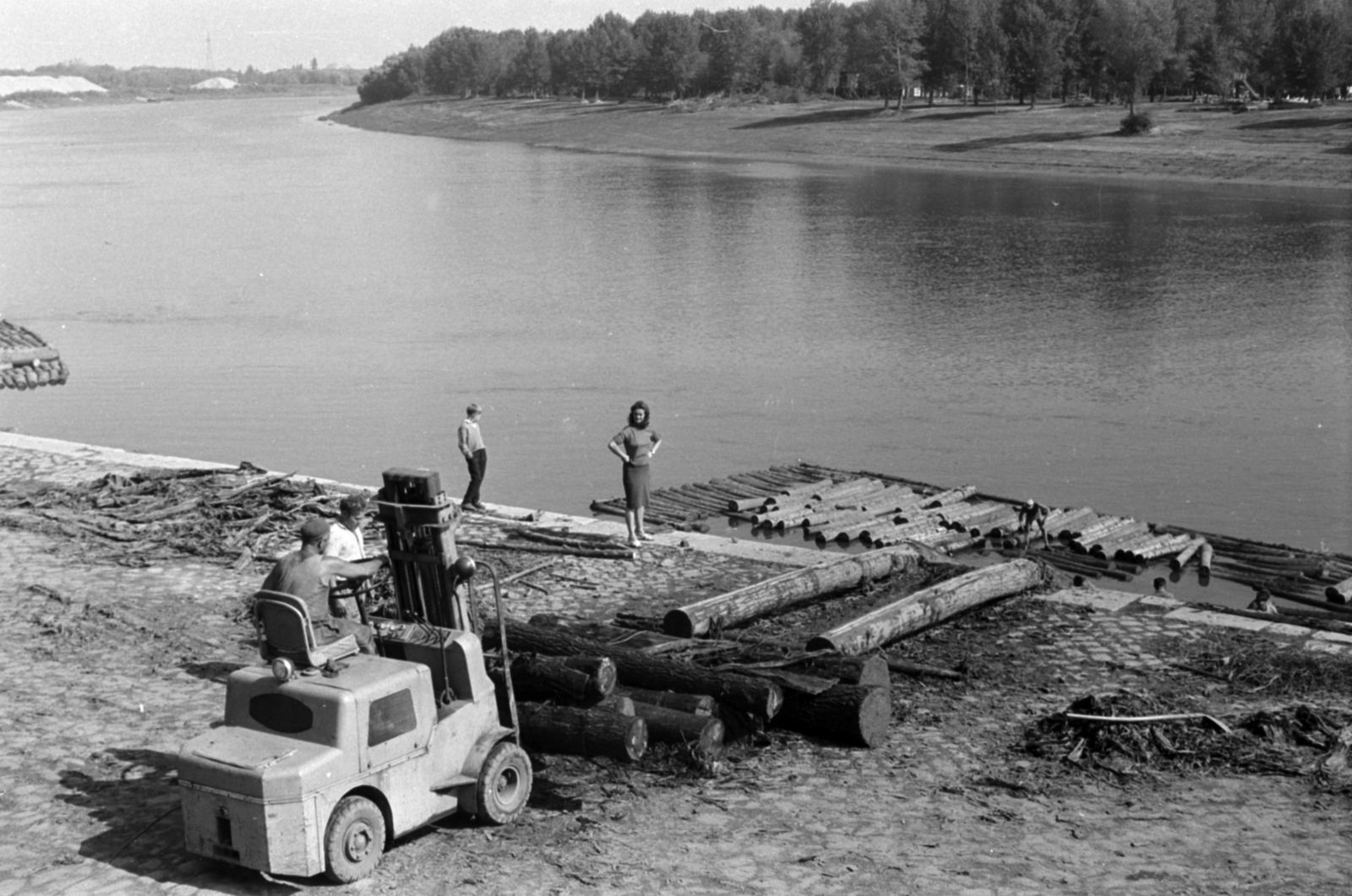 Hungary, Szeged, Tisza-part, a Tiszán Tuzsérról Szegedre, az ERDÉRT vállalat telepéről a fafeldolgozó üzemekhez leúsztatott farönkök kiemelése., 1968, Földvári Mihály, Fortepan #200813