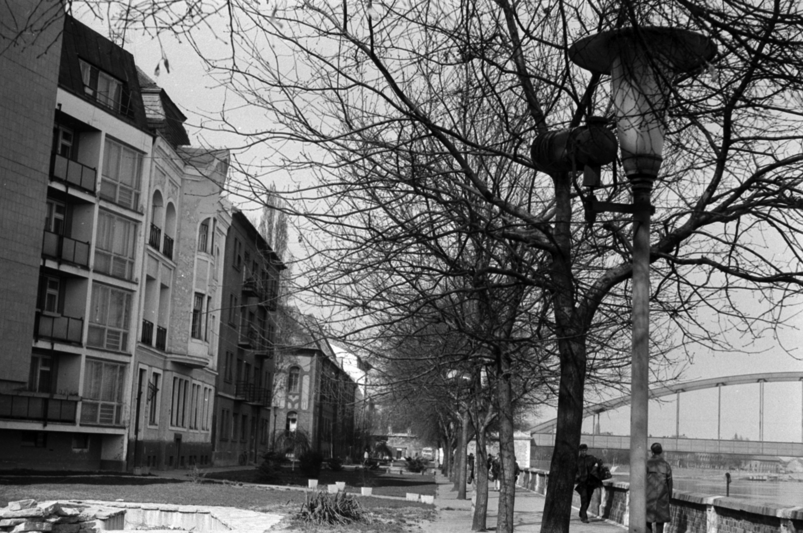 Hungary, Szeged, Korányi fasor a Sellő ház irányából, jobbra a Belvárosi híd., 1968, Földvári Mihály, Fortepan #200824