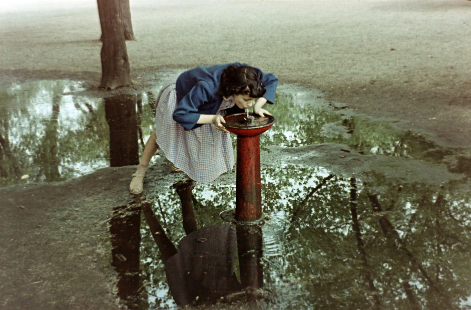 1961, Gömöri család, colorful, puddle, drinking fountain, drinking, Best of, Fortepan #201431