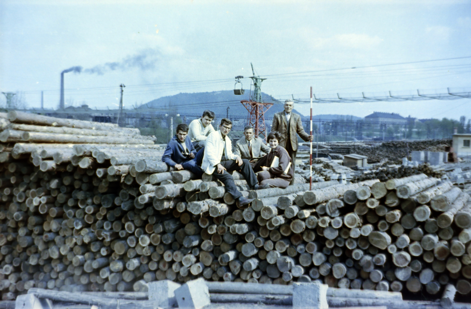 Hungary, Tata-Tóváros, fatelep a mai Fatelepi bekötőút nyugati oldalán., 1960, Gömöri család, colorful, conveyor belt, Fortepan #201447