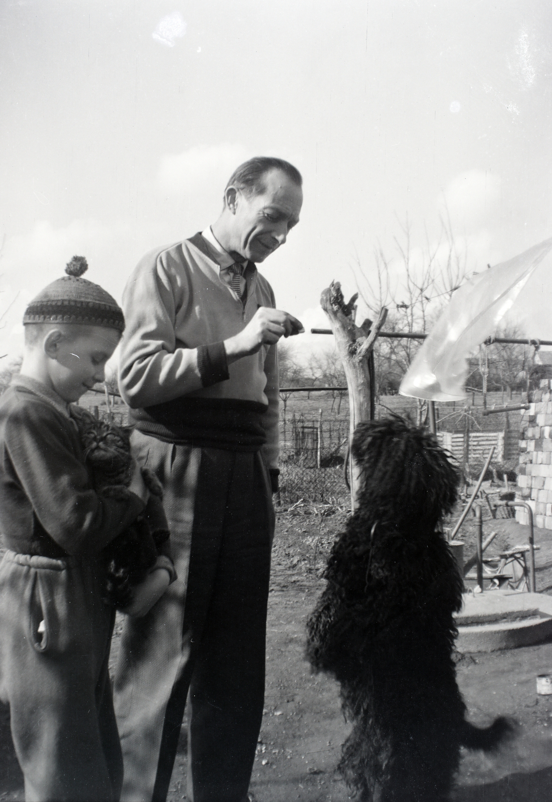 1964, Győri Zoltán, dog, cat, animal trainer, Fortepan #201461