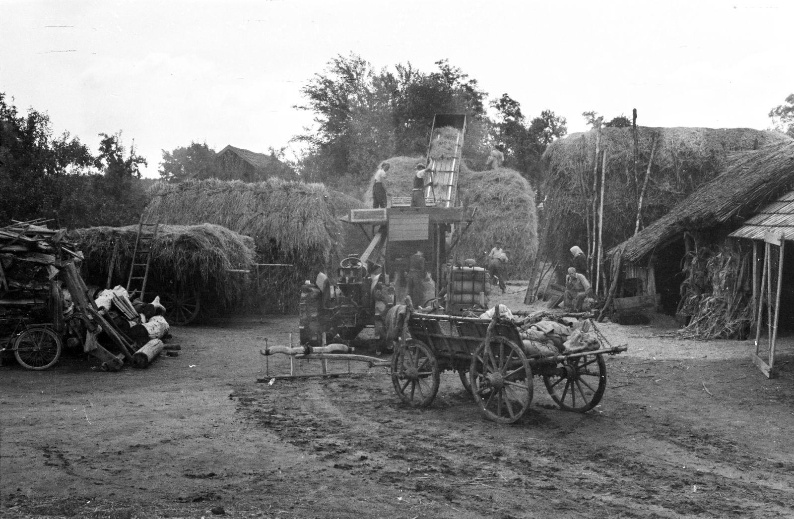 1955, Handa család, cséplőgép, szekér, Fortepan #201524
