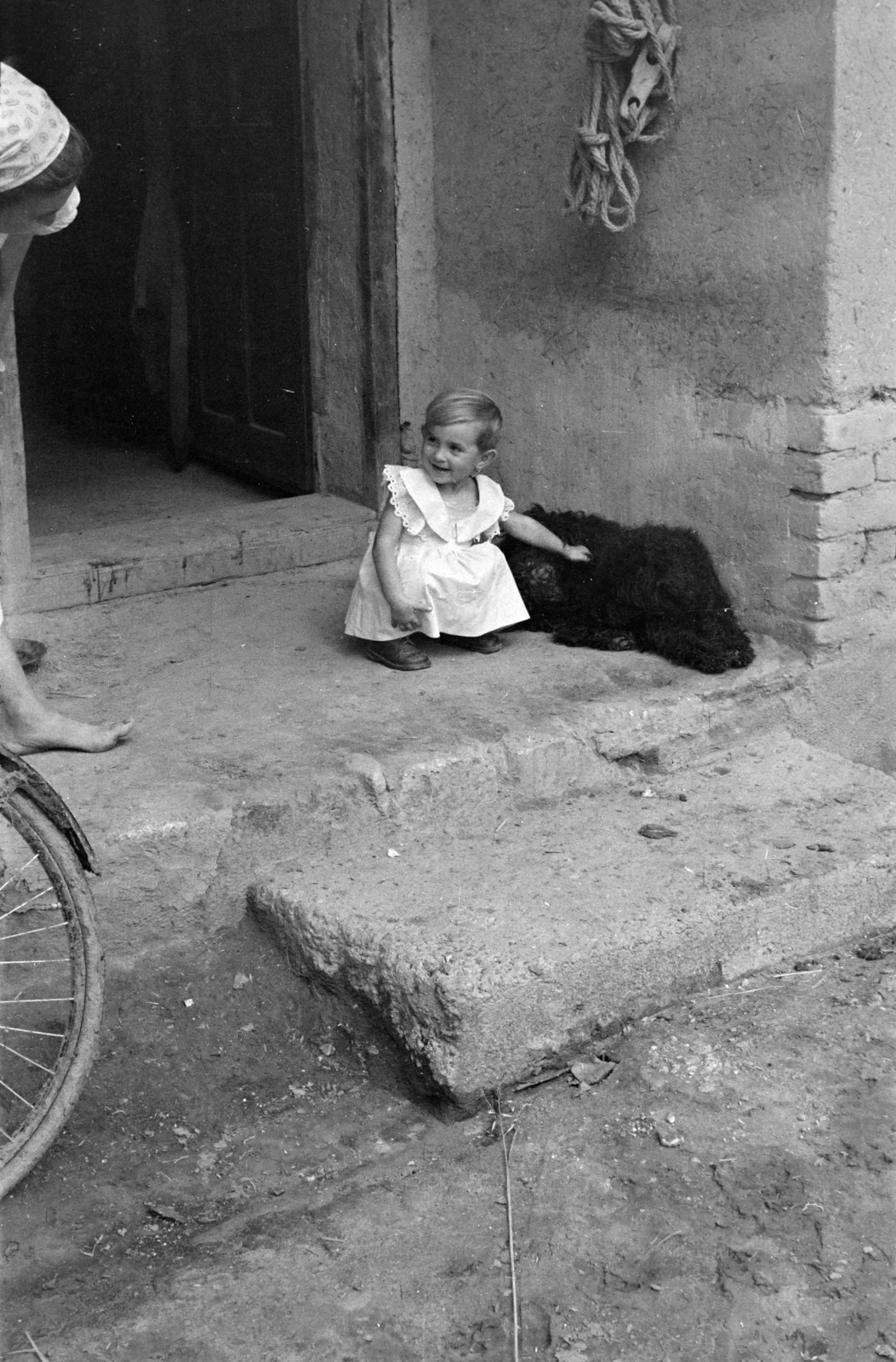 1955, Handa család, girl, dog, white dress, bicycle, Fortepan #201526