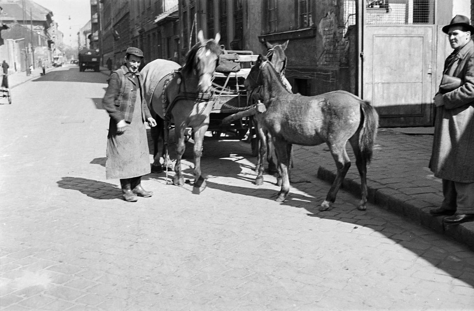Hungary, Budapest IX., Márton utca a Gát utcától a Balázs Béla utca felé nézve., 1959, Handa család, teamster, horse, foal, Budapest, Fortepan #201551