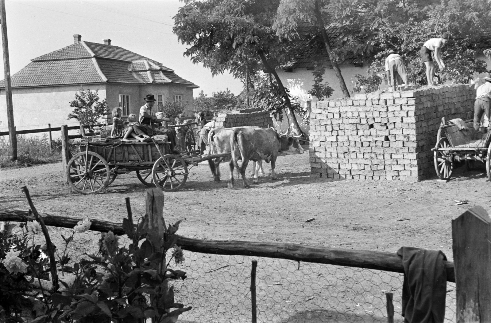 Hungary, Tiszadob, Bocskai utca., 1962, Handa család, Fortepan #201596