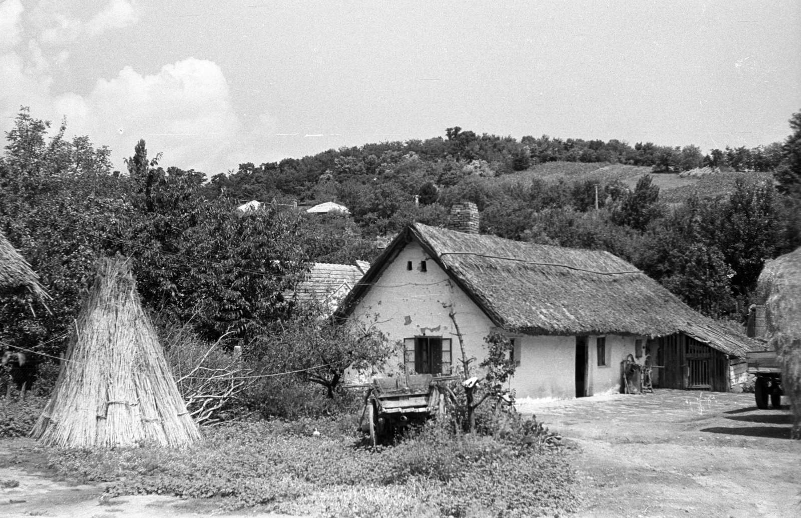 Hungary,Lake Balaton, Fonyód, Fő utca, Krajtmár Lajos nádpalló készítő házának udvara., 1966, Jakab Antal, farmhouse, Fortepan #201763