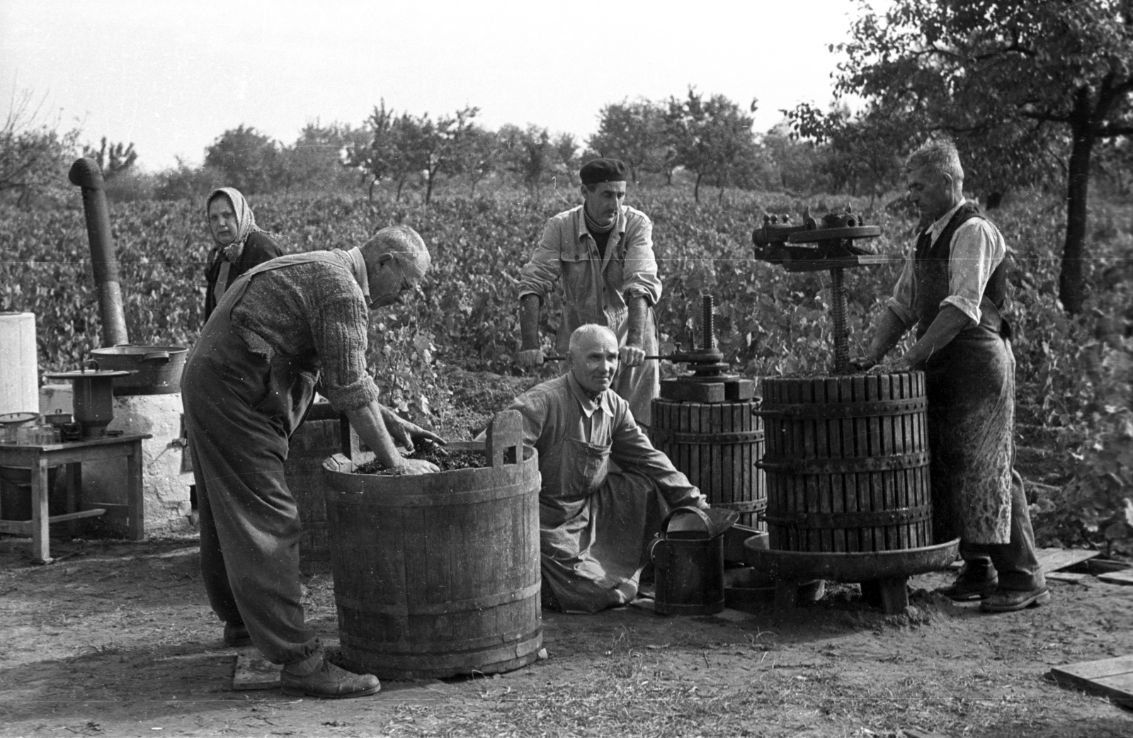 1966, Jakab Antal, harvest, Fortepan #201798