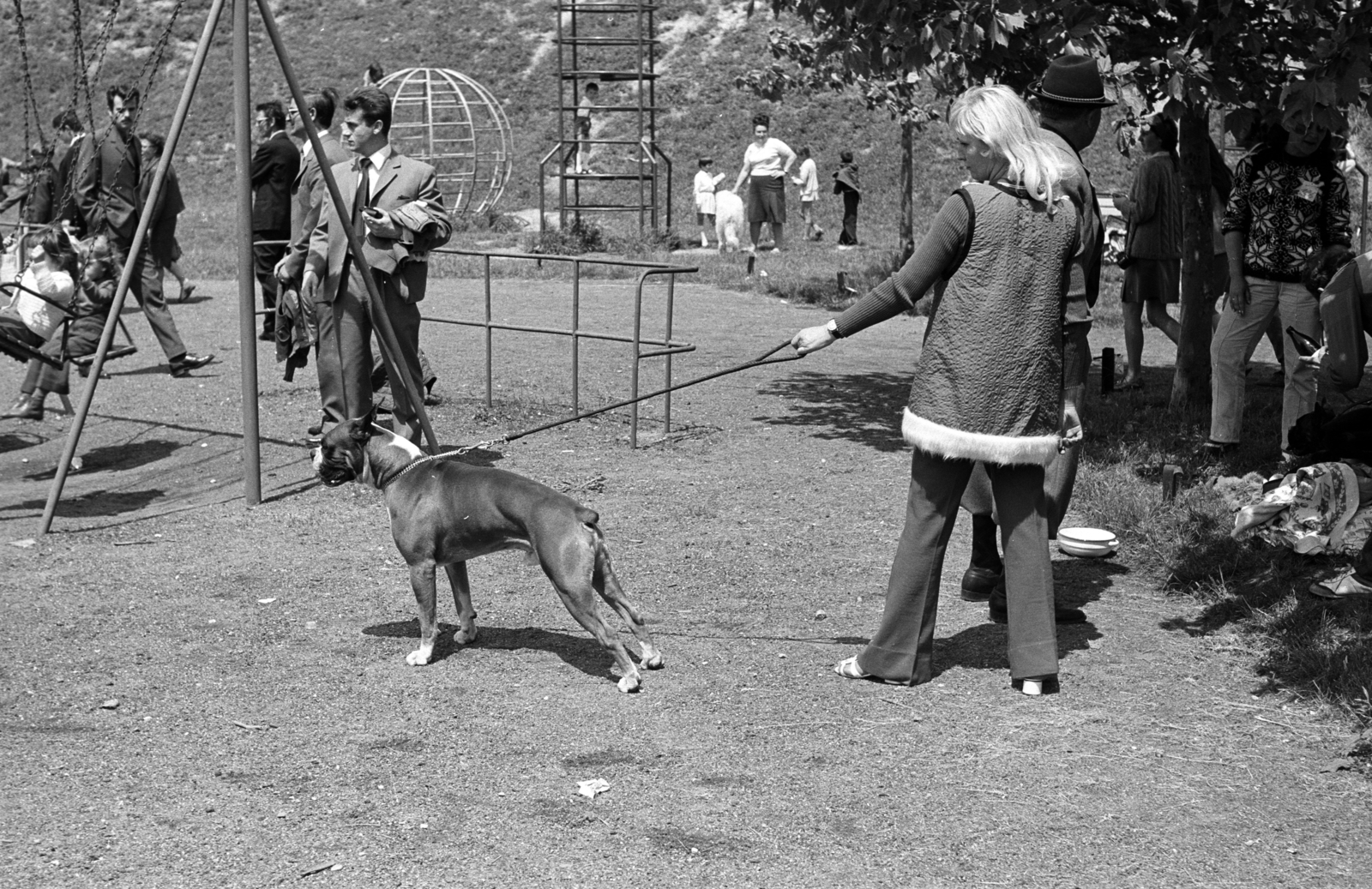 1970, Jakab Antal, playground, dog, swing, Fortepan #202092