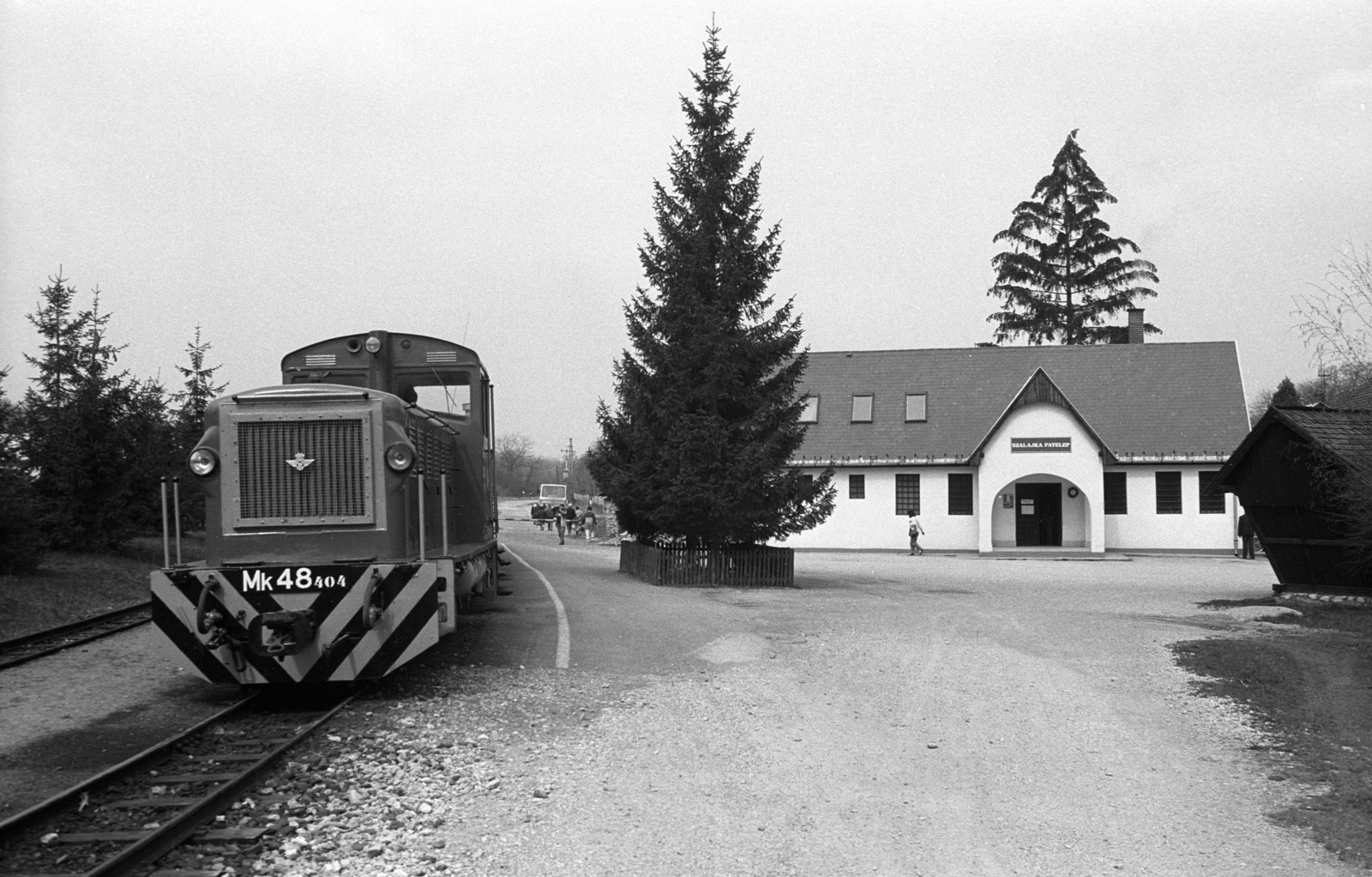 Magyarország, Szilvásvárad, a Szilvásváradi Állami Erdei Vasút Szalajka - Fatelep állomása., 1985, Jakab Antal, vasútállomás, sínpálya, dízelmozdony, kisvasút, LÁEV-szervezet, MÁV MK48 sorozat, Fortepan #202324