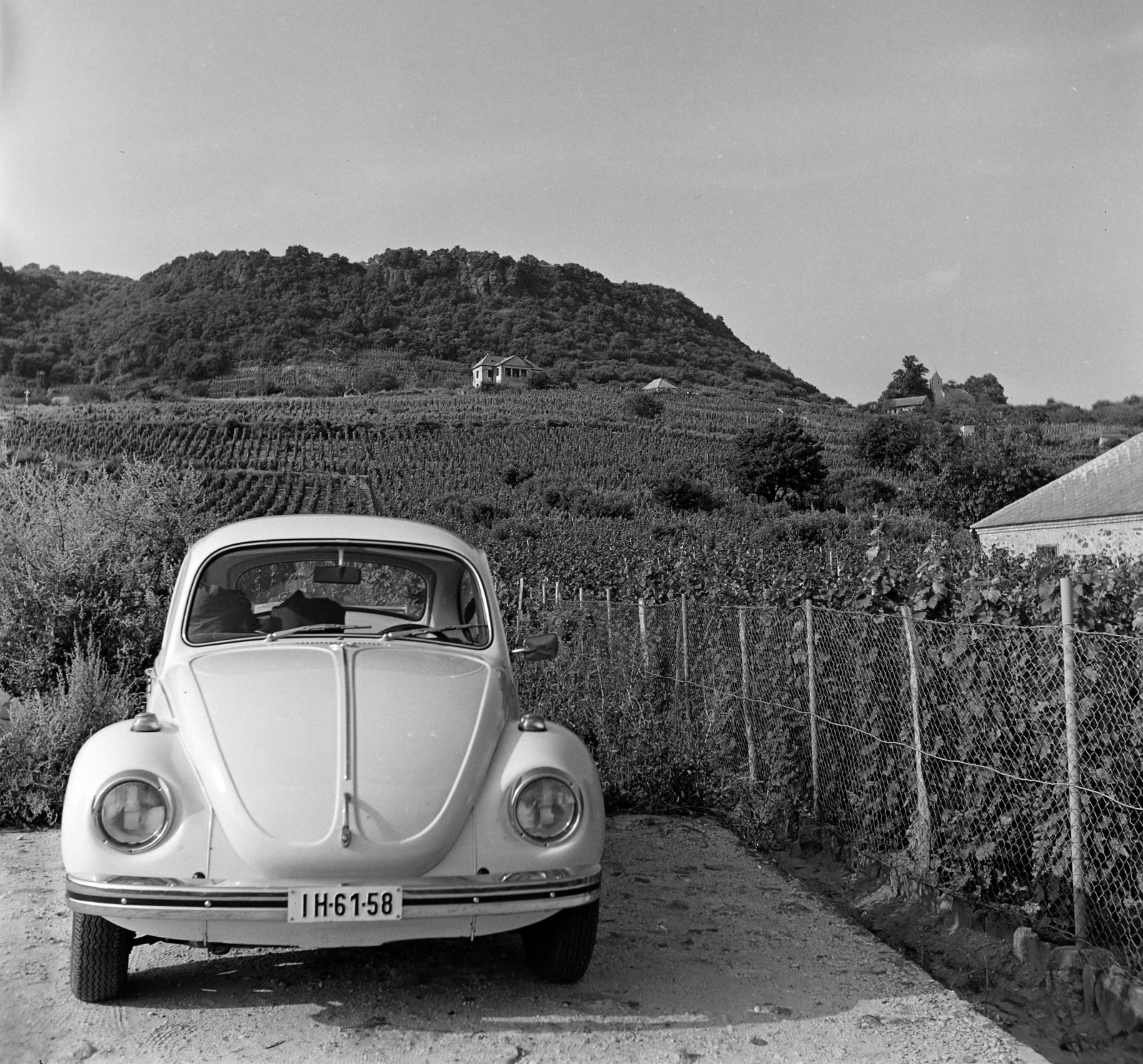 Hungary, Somlóvásárhely, 1973, Faragó László, Volkswagen-brand, number plate, Volkswagen Beetle, Fortepan #202336