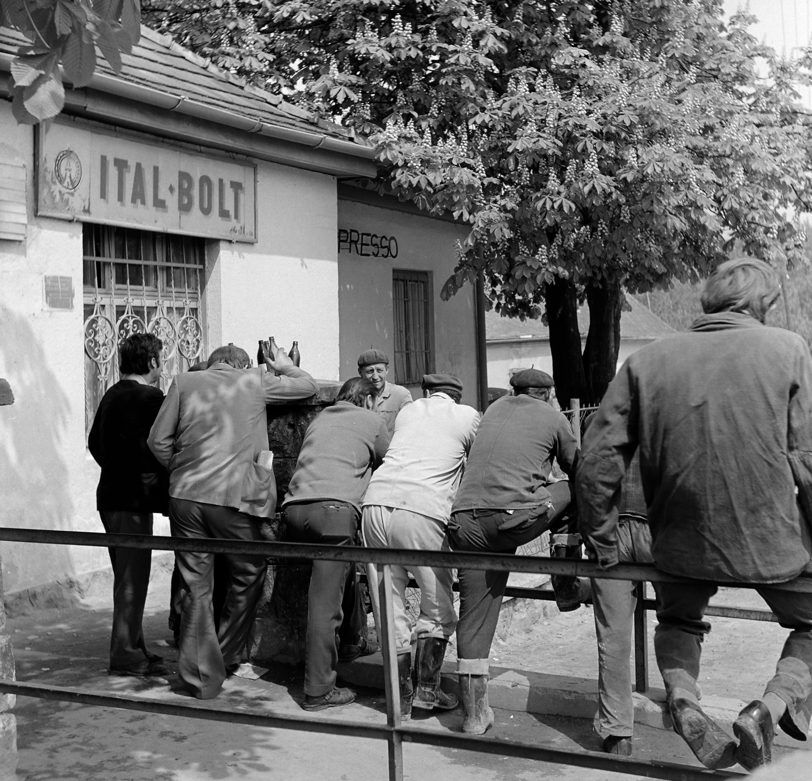 1978, Faragó László, háttal, férfiak, italbolt, Fortepan #202389