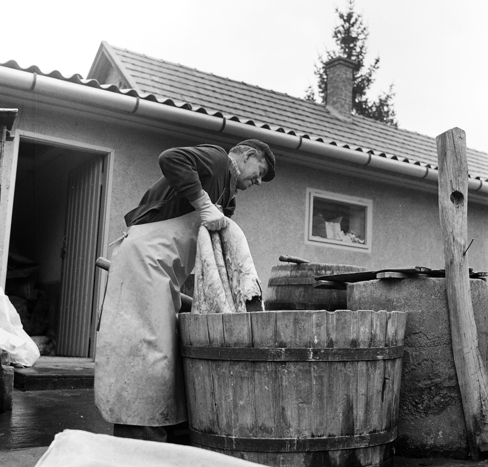 1975, Faragó László, tanner, leather industry, leather tanning, Fortepan #202441