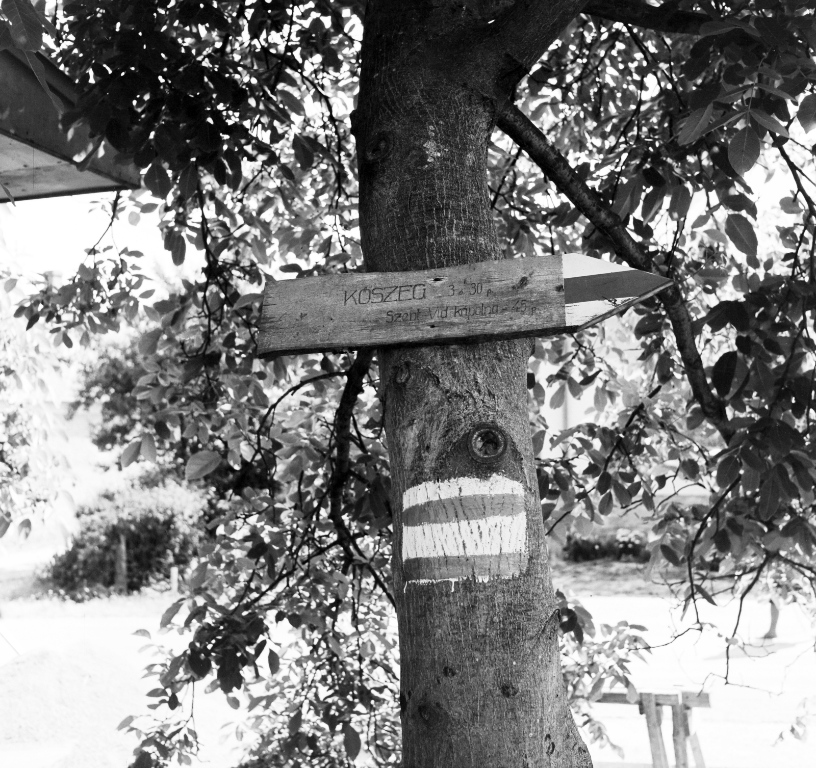 Magyarország, Kőszegi-hegység., 1976, Faragó László, kirándulás, turistajelzés, Fortepan #202449