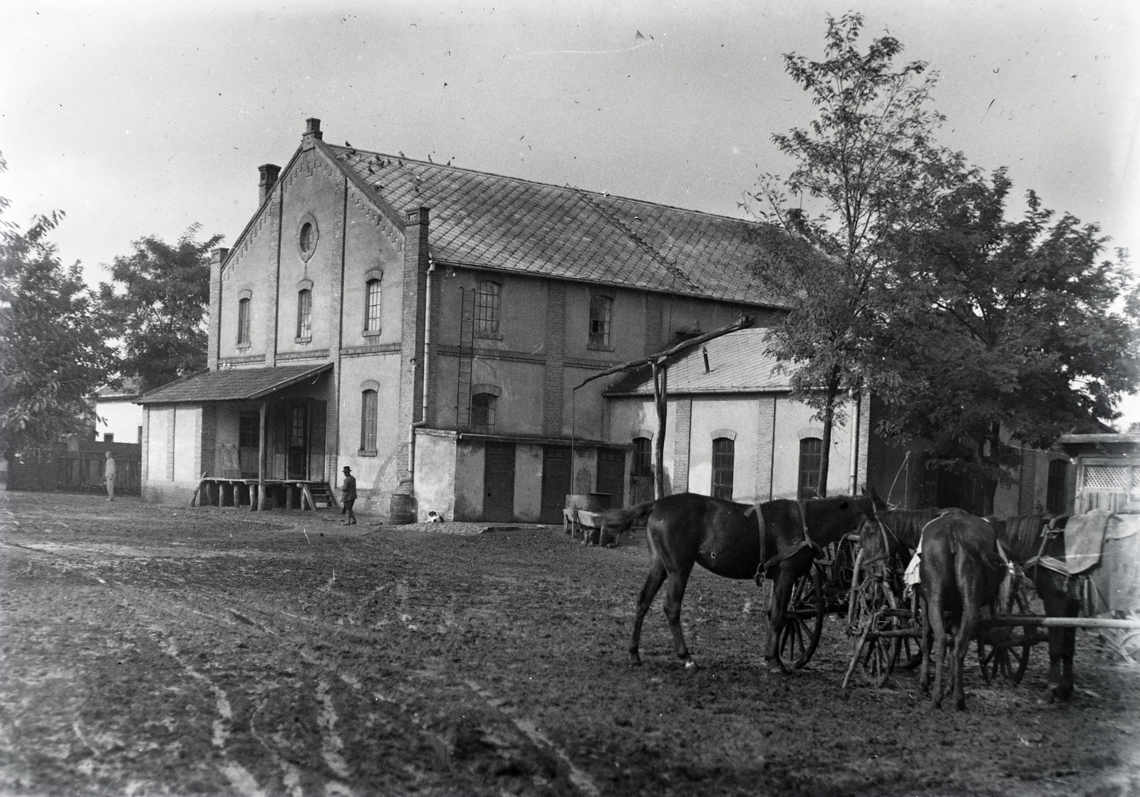 Hungary, a Wenckheim malom., 1930, Jóna Dávid, Horse-drawn carriage, Mill, shadoof, Fortepan #202558