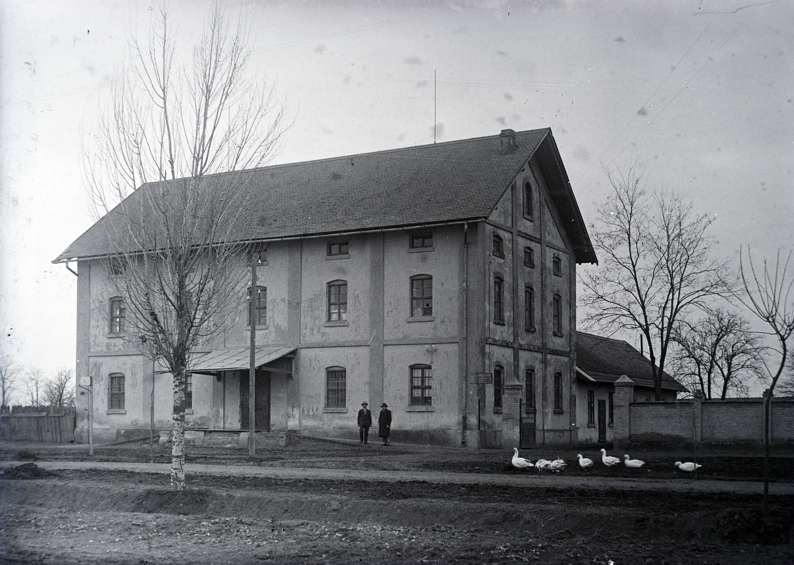 Hungary, Szeged, Szőreg (ekkor önálló, ma a város része), Farkas-féle gőzmalom., 1931, Jóna Dávid, goose, goose, Fortepan #202611