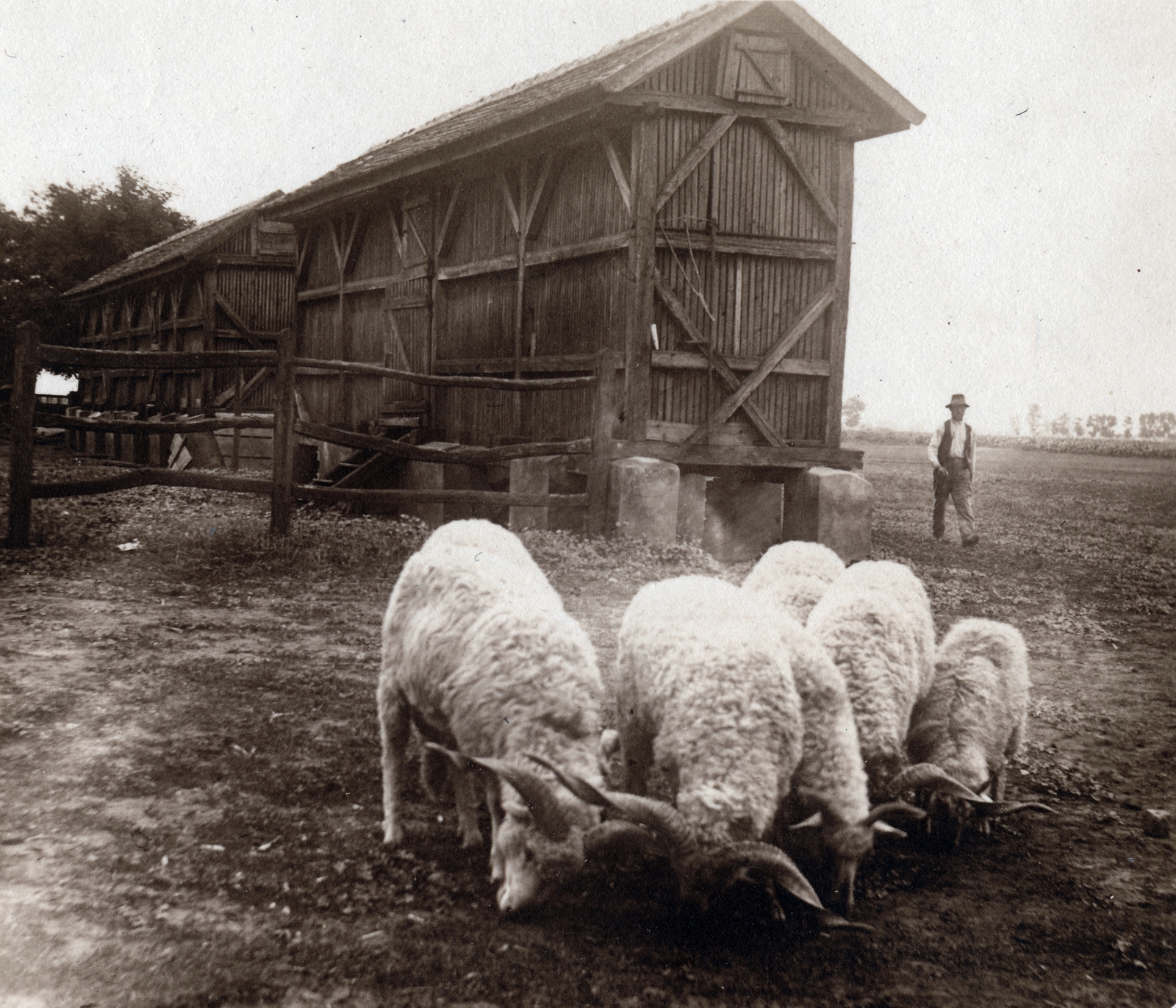 1941, Jóna Dávid, juh, kukoricagóré, Fortepan #202627